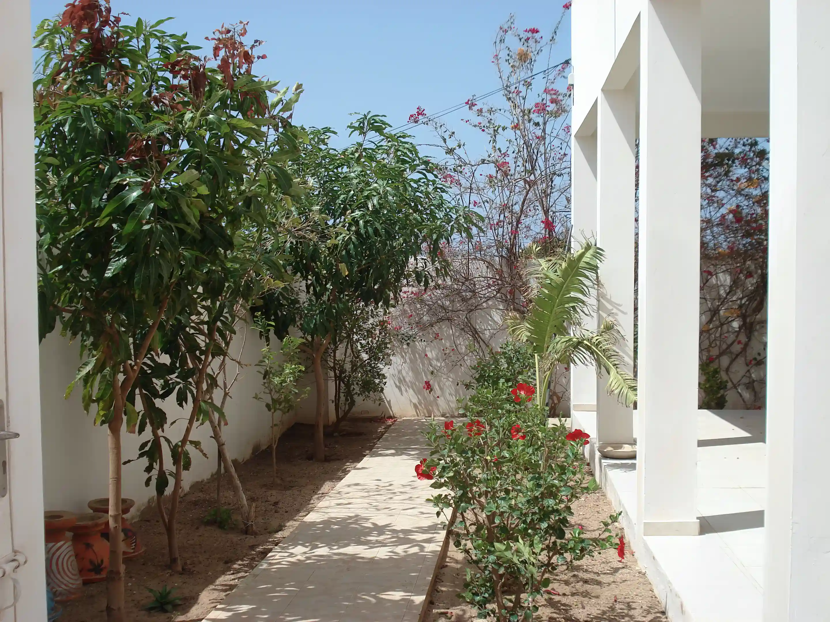 Corner of garden, which alow for space of a pool.