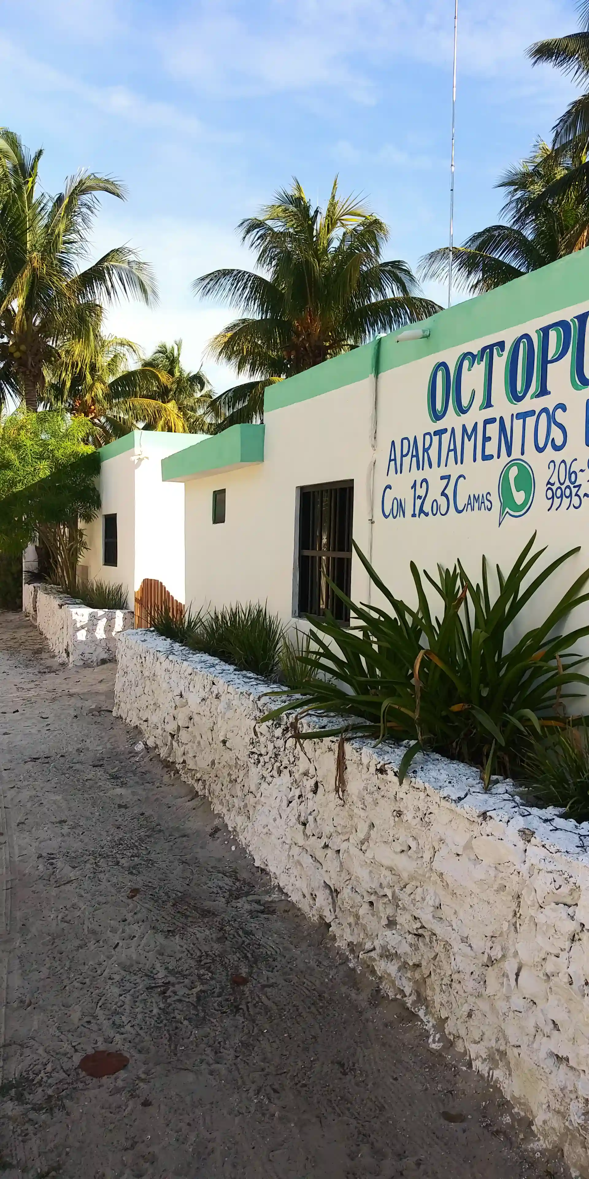 Houses for Sale and Rent in Calle 25, San Crisanto, Yucatan, Mexico