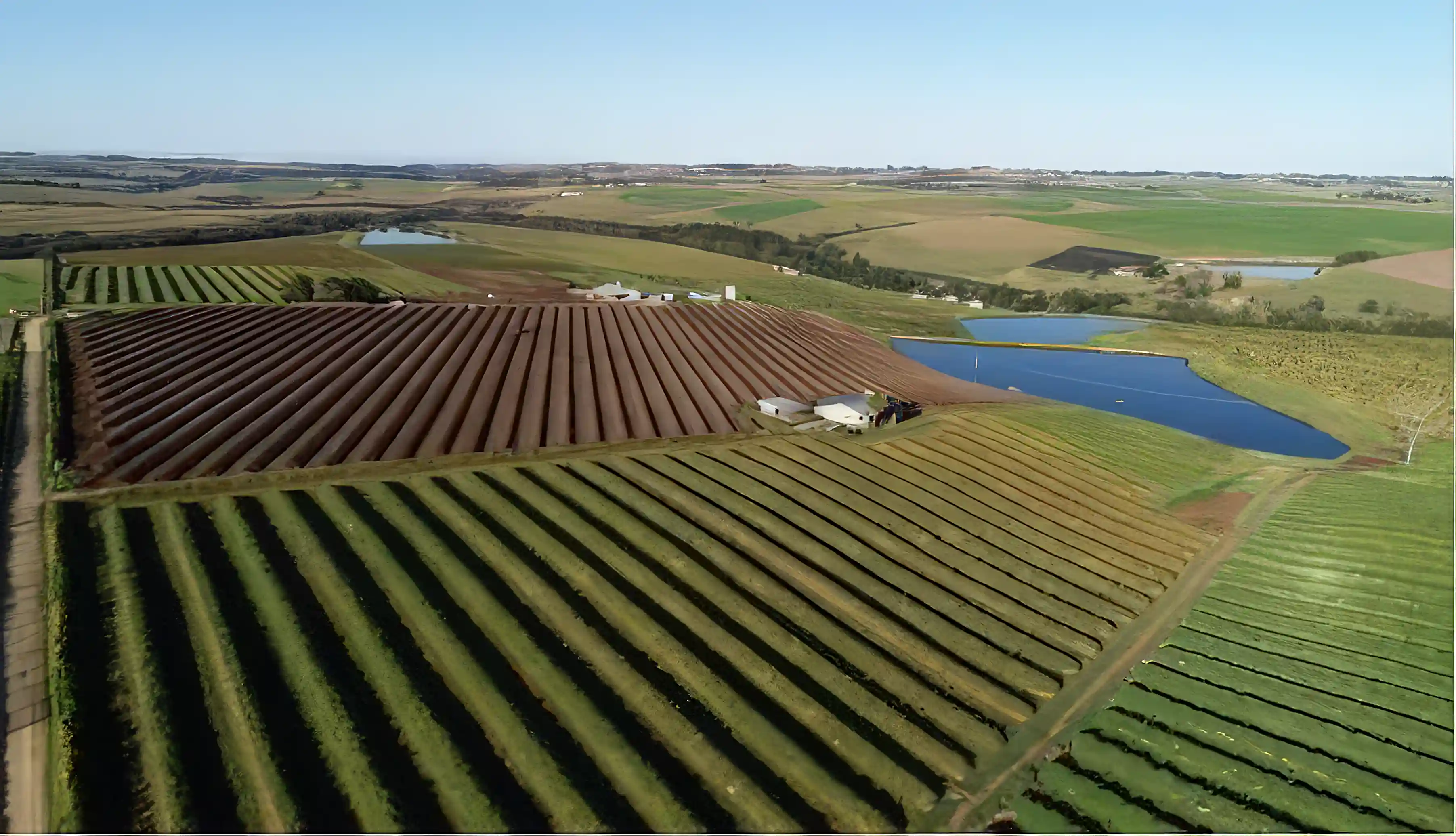 Avocado and Macadamia Nut Farm for Sale in Garden Route,