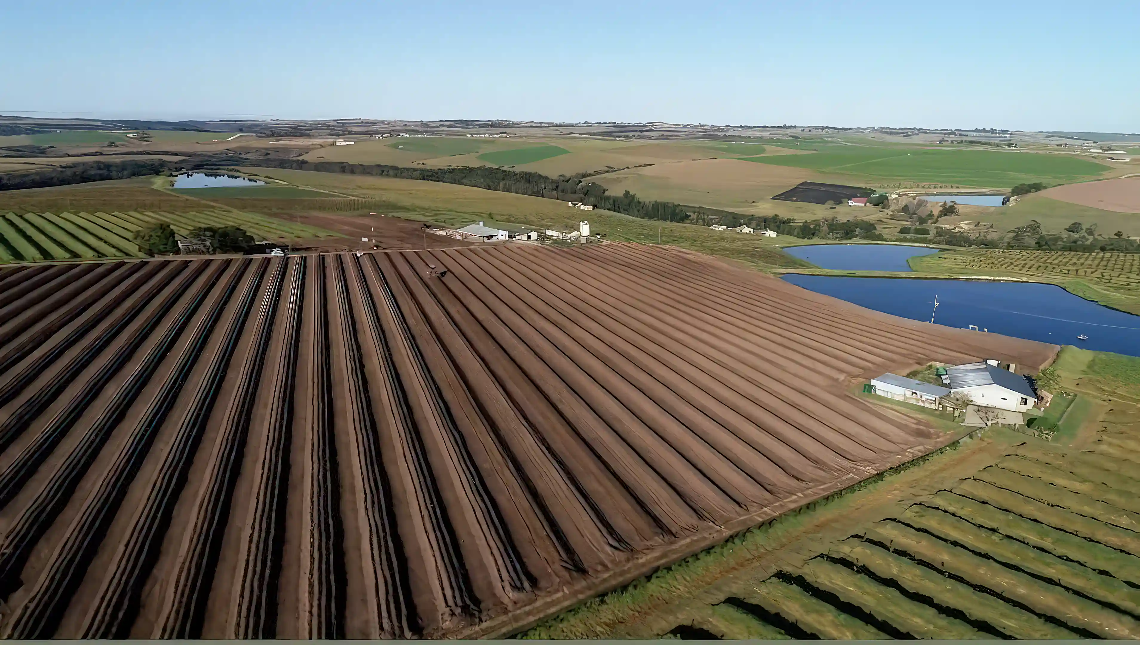 Avocado and Macadamia Nut Farm for Sale in Garden Route,
