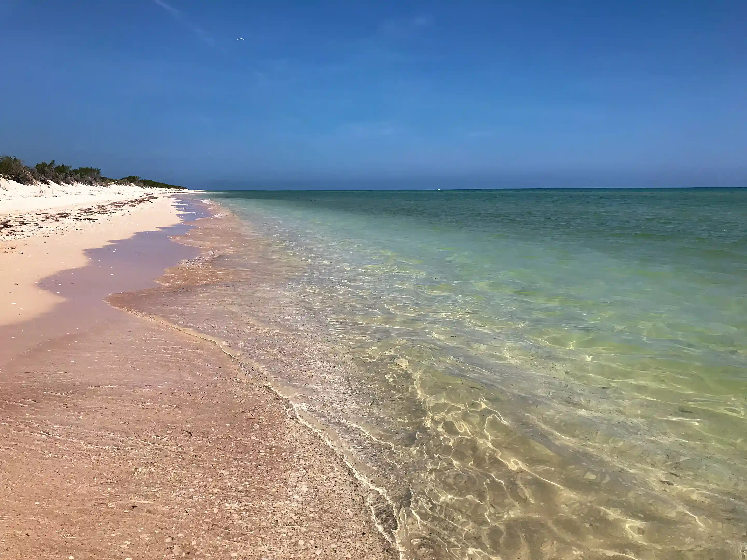 Beachfront Lots for Sale in Sisal, Yucatan, Mexico