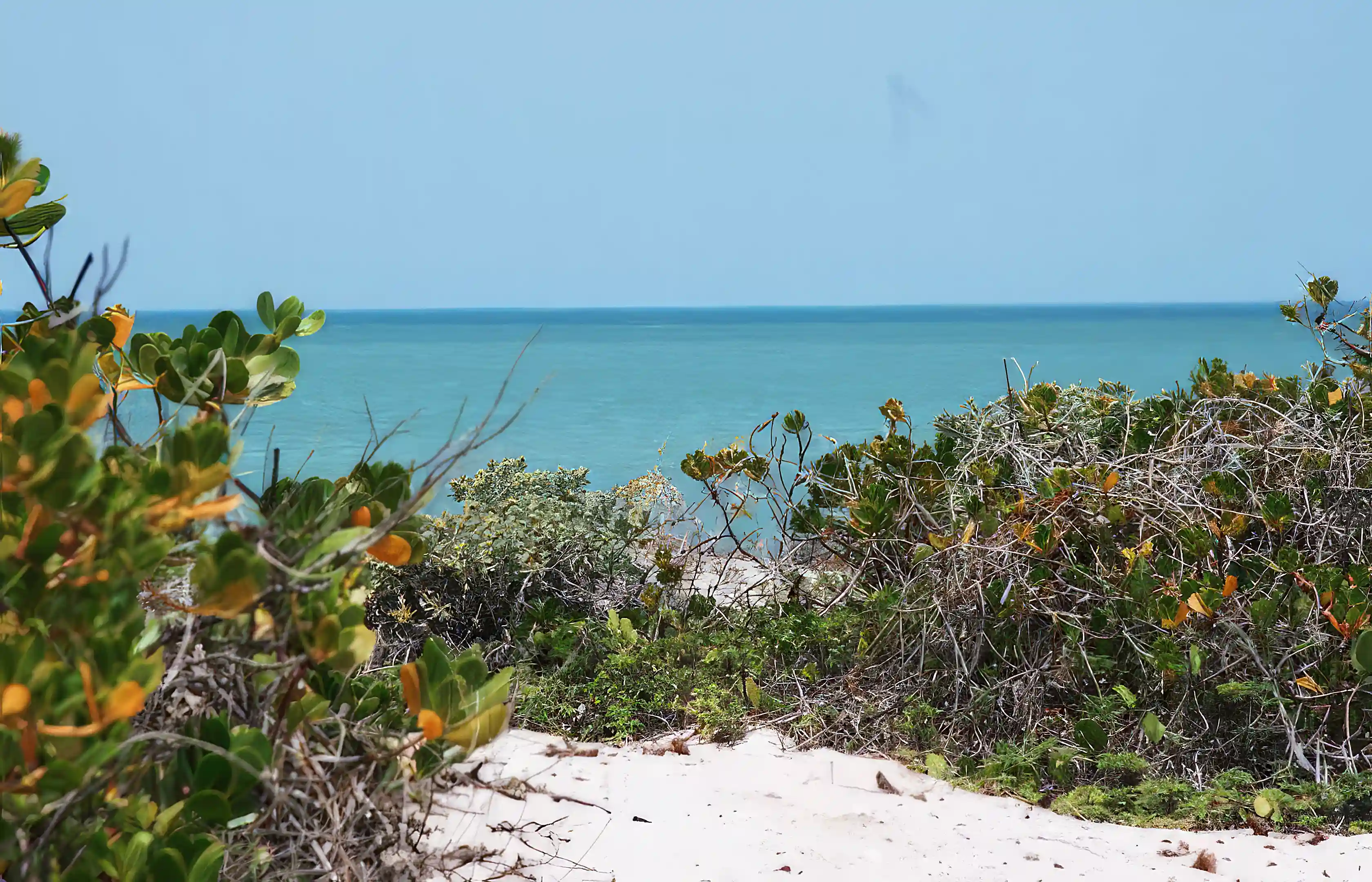 Beachfront Lots for Sale in Sisal, Yucatan, Mexico
