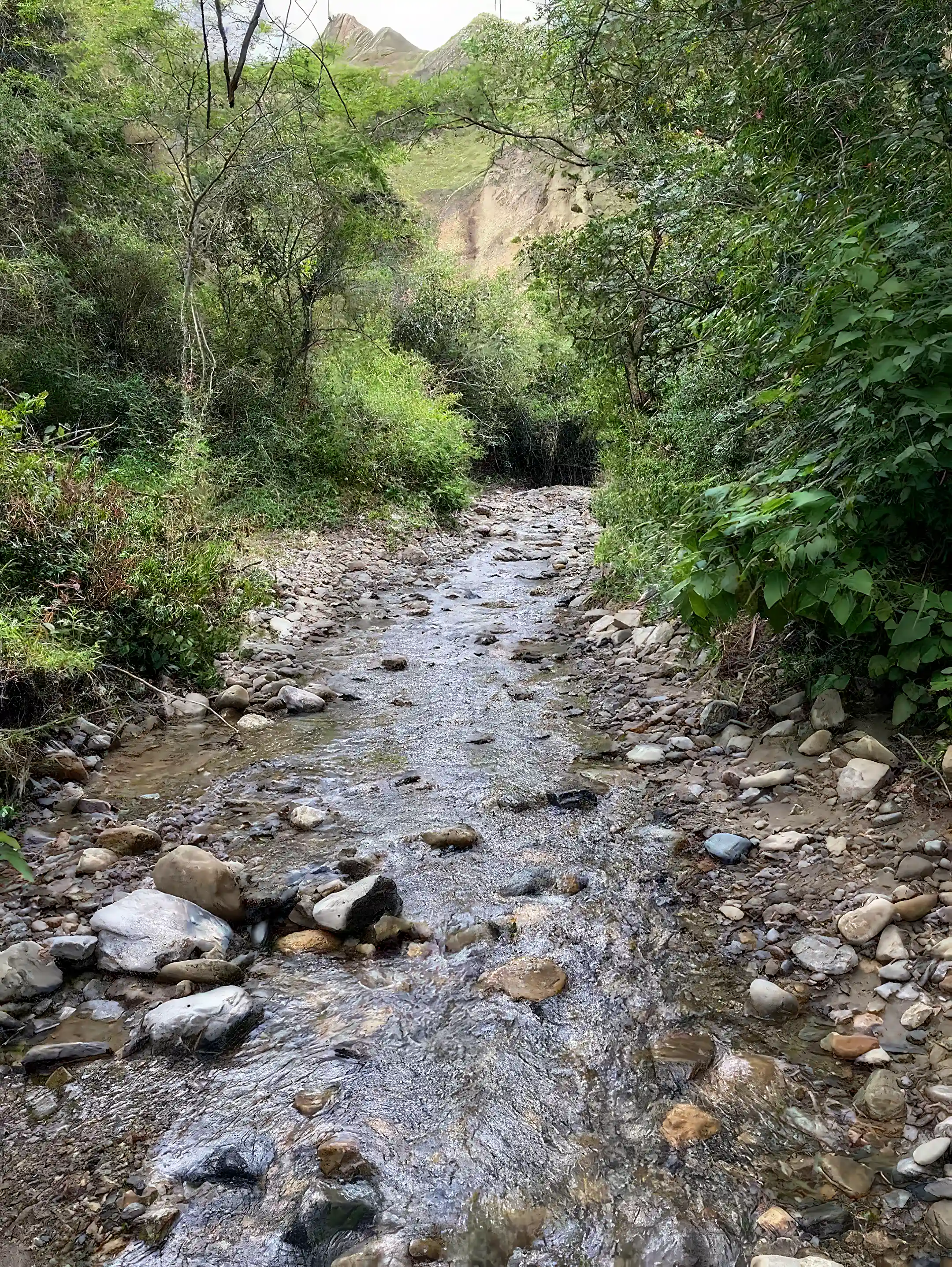 Large Property for Sale in Vilcabamba, Loja, Ecuador