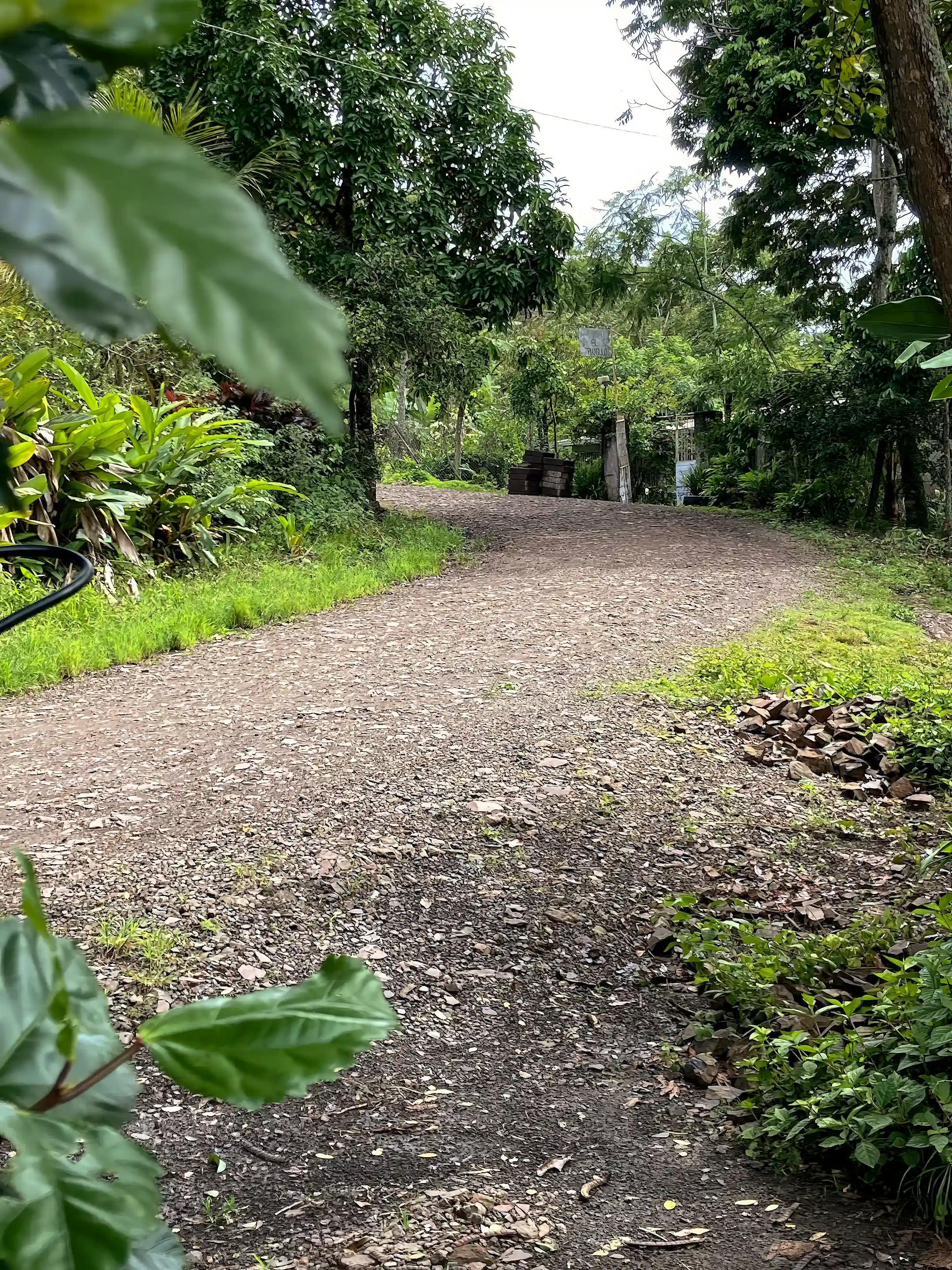 Farmhouse and Coffee Farm for Sale in El Tepeyac, Matagalpa, Nicaragua