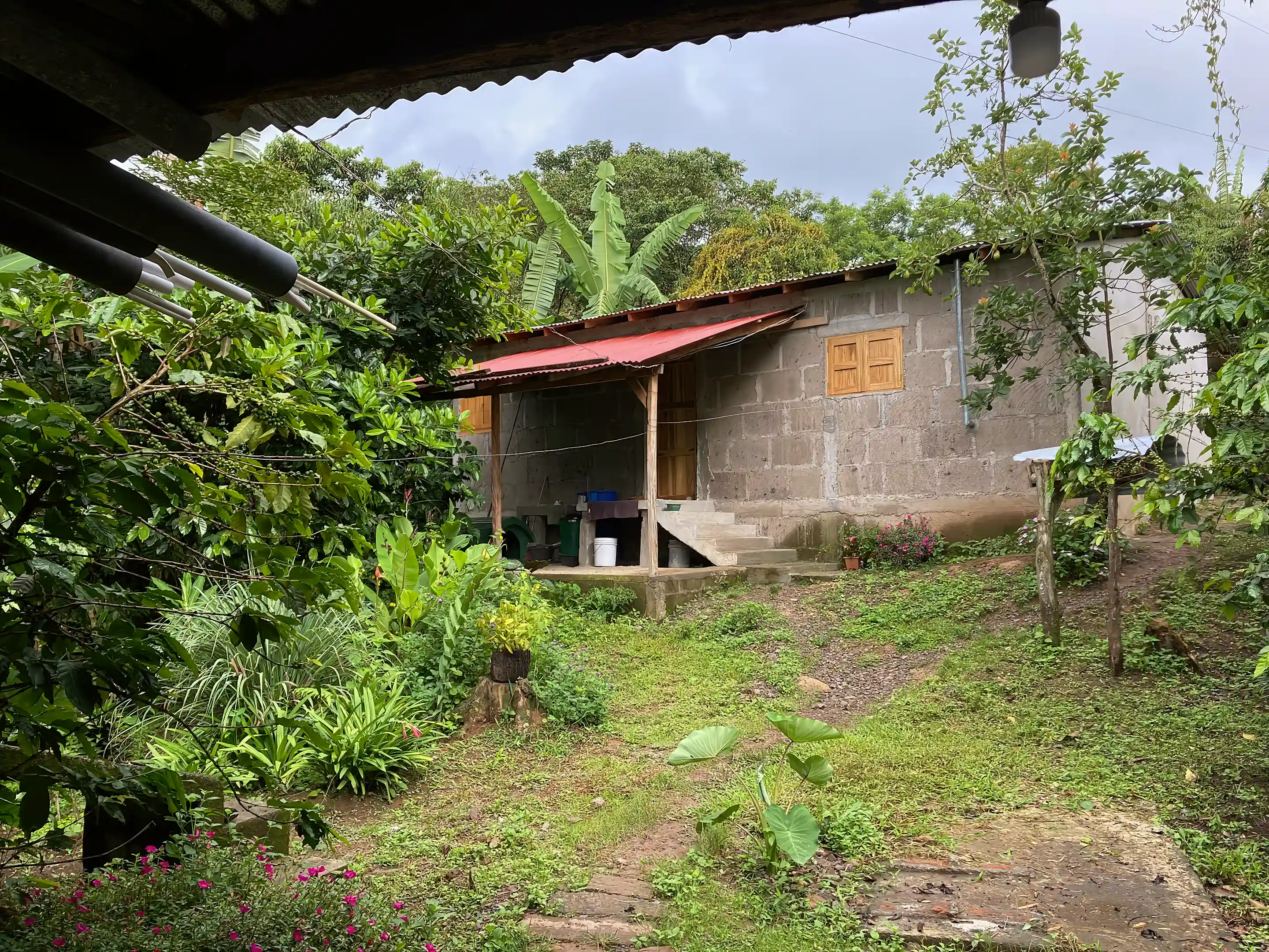 Coffee Farm for Sale in El Tepeyac, Matagalpa, Nicaragua Viviun