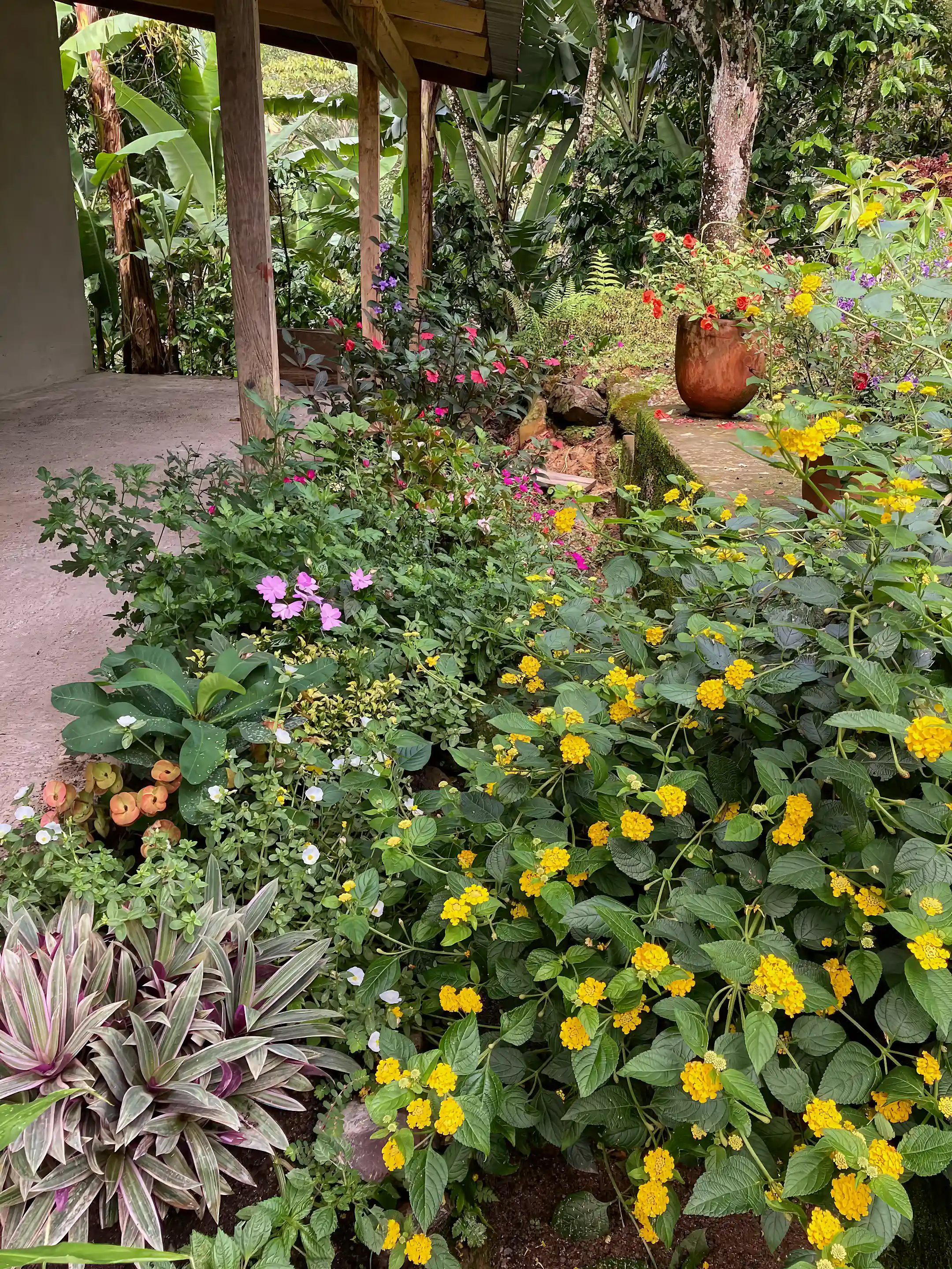 Farmhouse and Coffee Farm for Sale in El Tepeyac, Matagalpa, Nicaragua