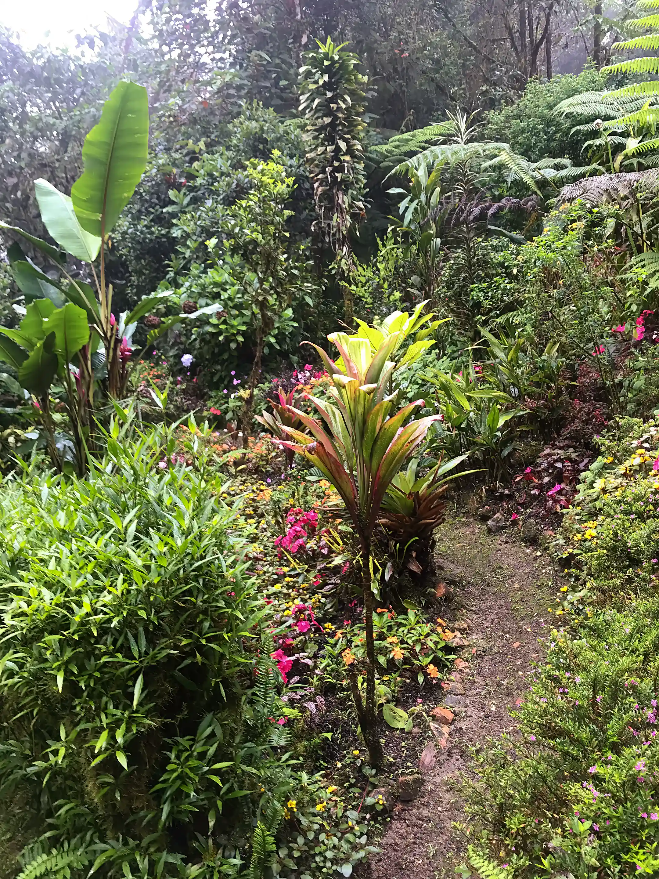 House for Sale in Mindo, Pichincha, Ecuador