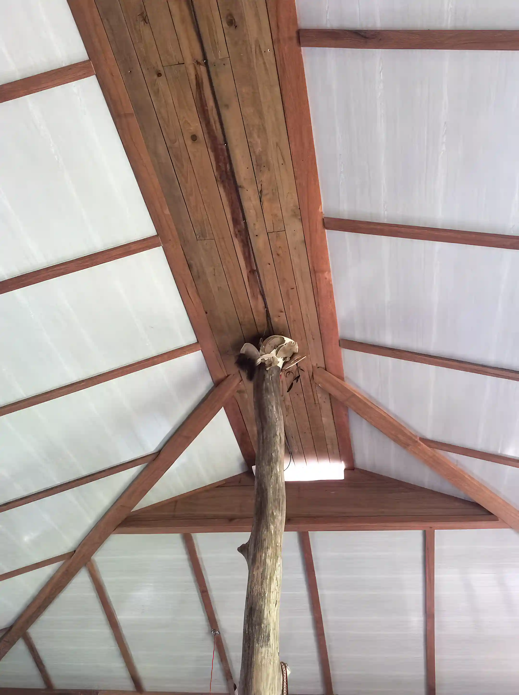14 ft. ceiling