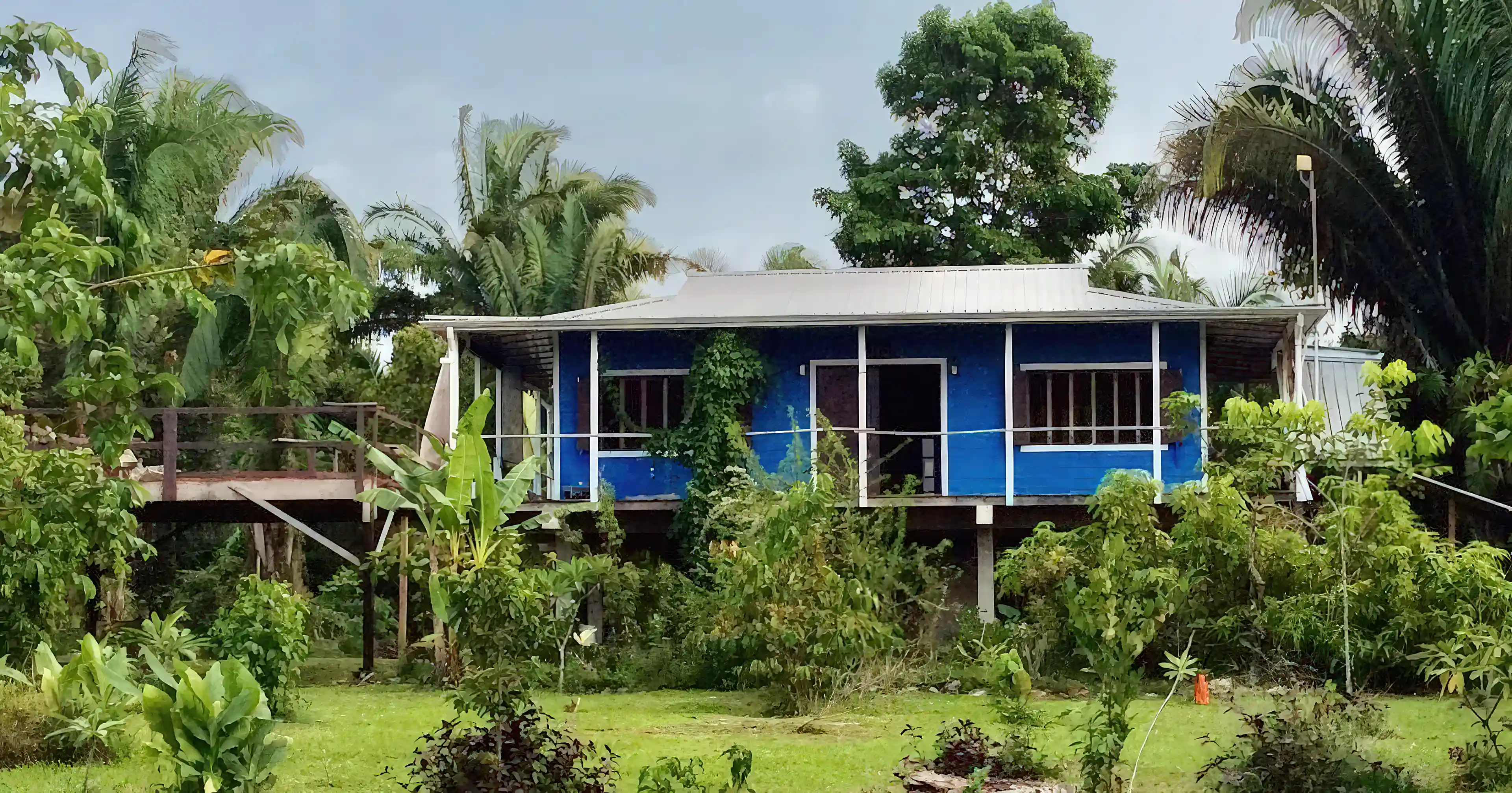 Jungle Home for Sale in Yemeri Grove, Toledo, Belize
