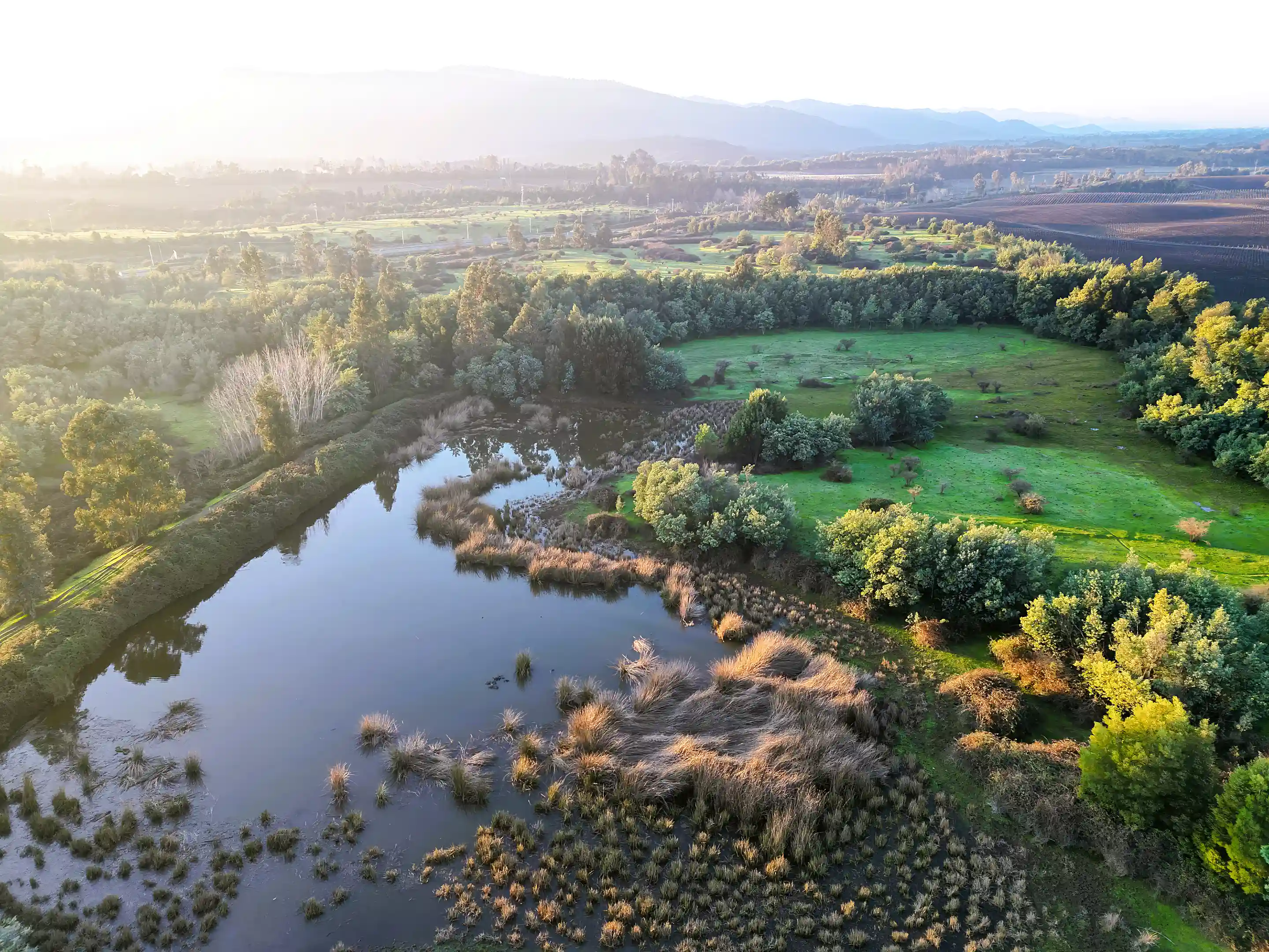 Farmland for Sale in Camarico, Maule, Chile Viviun