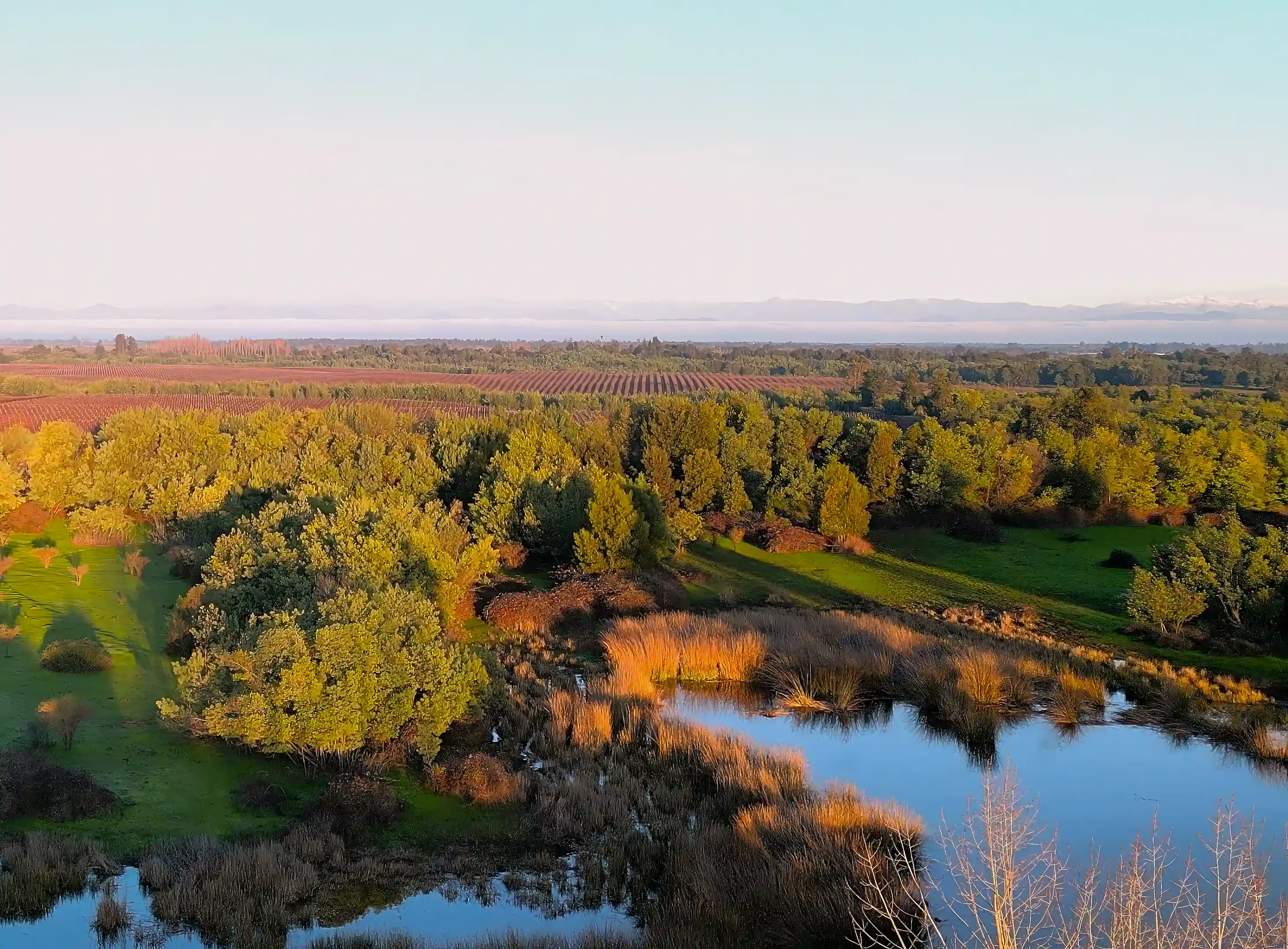 Farmland for Sale in Camarico, Maule, Chile Viviun