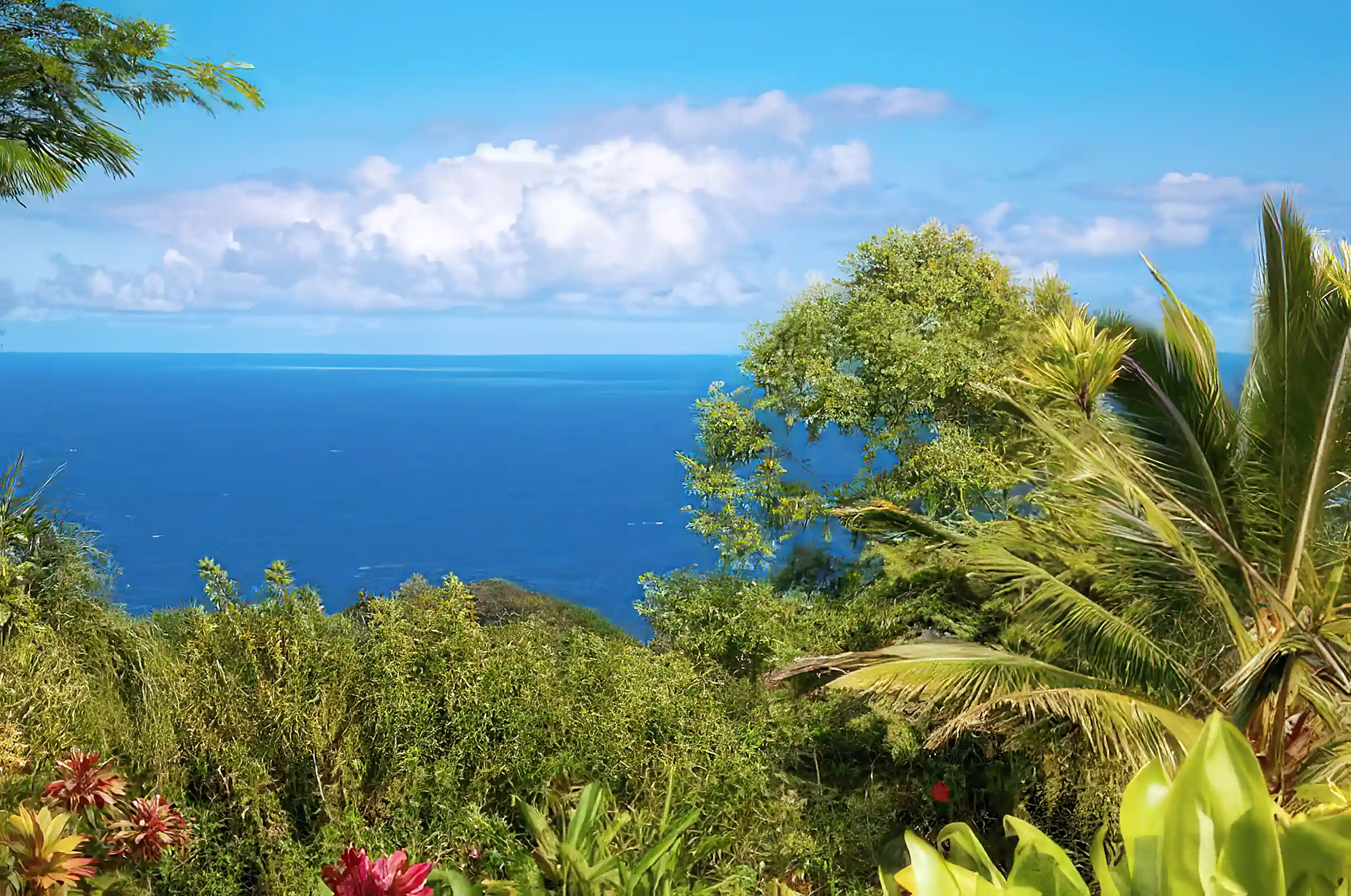 Ocean View Lots for Sale in Via Jama Pedernales, Tasaste, Manabi