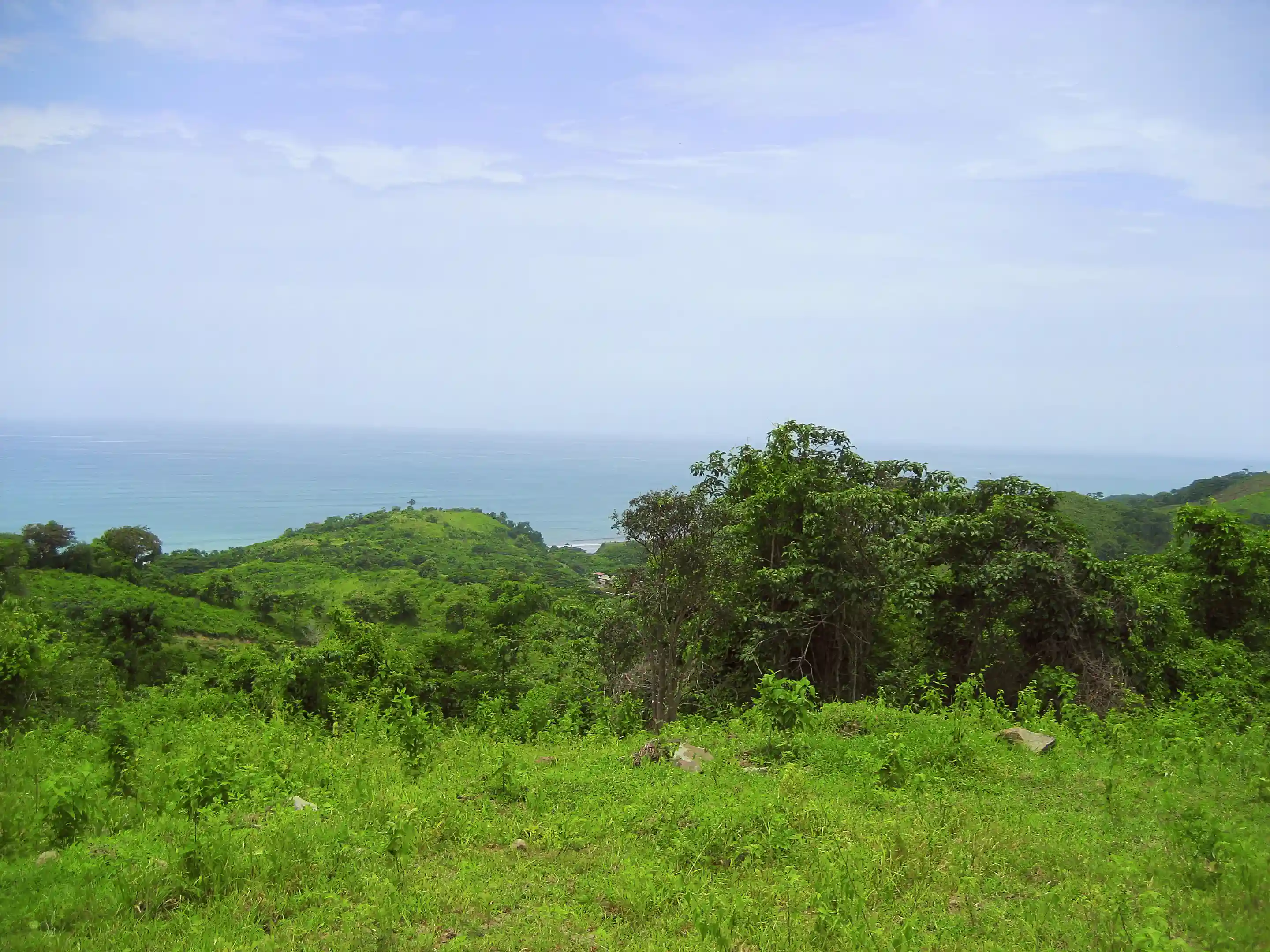 Ocean View Lots for Sale in Km77 via Jama Pedernales, Tasaste, Manabi