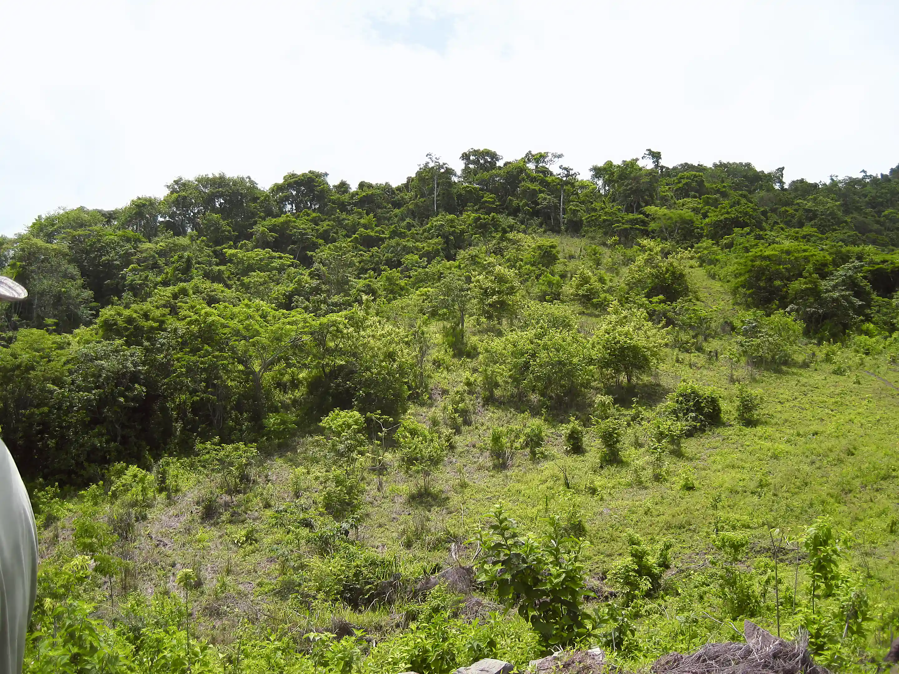 Ocean View Lots for Sale in Km77 via Jama Pedernales, Tasaste, Manabi