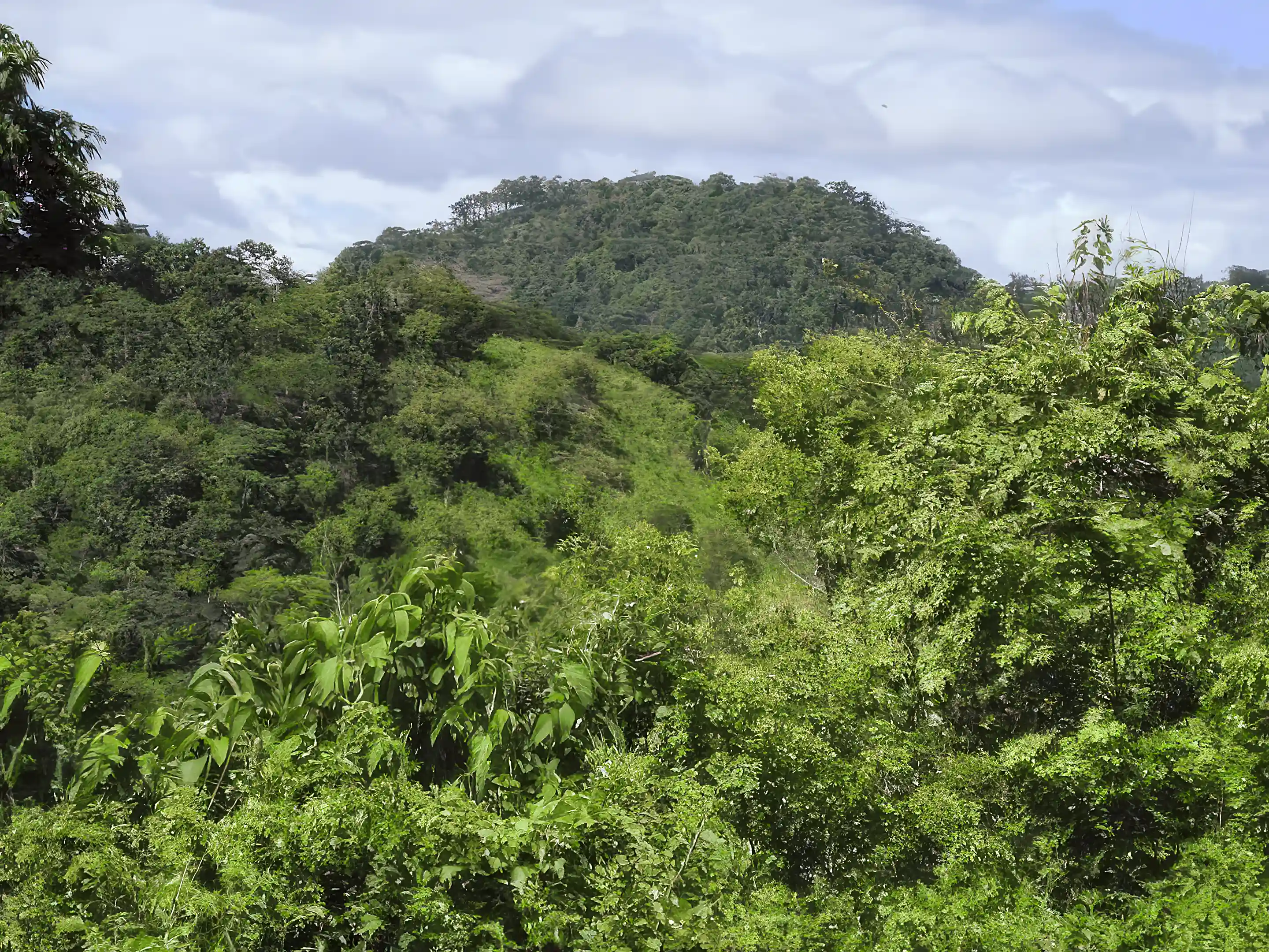 Ocean View Lots for Sale in Km77 via Jama Pedernales, Tasaste, Manabi