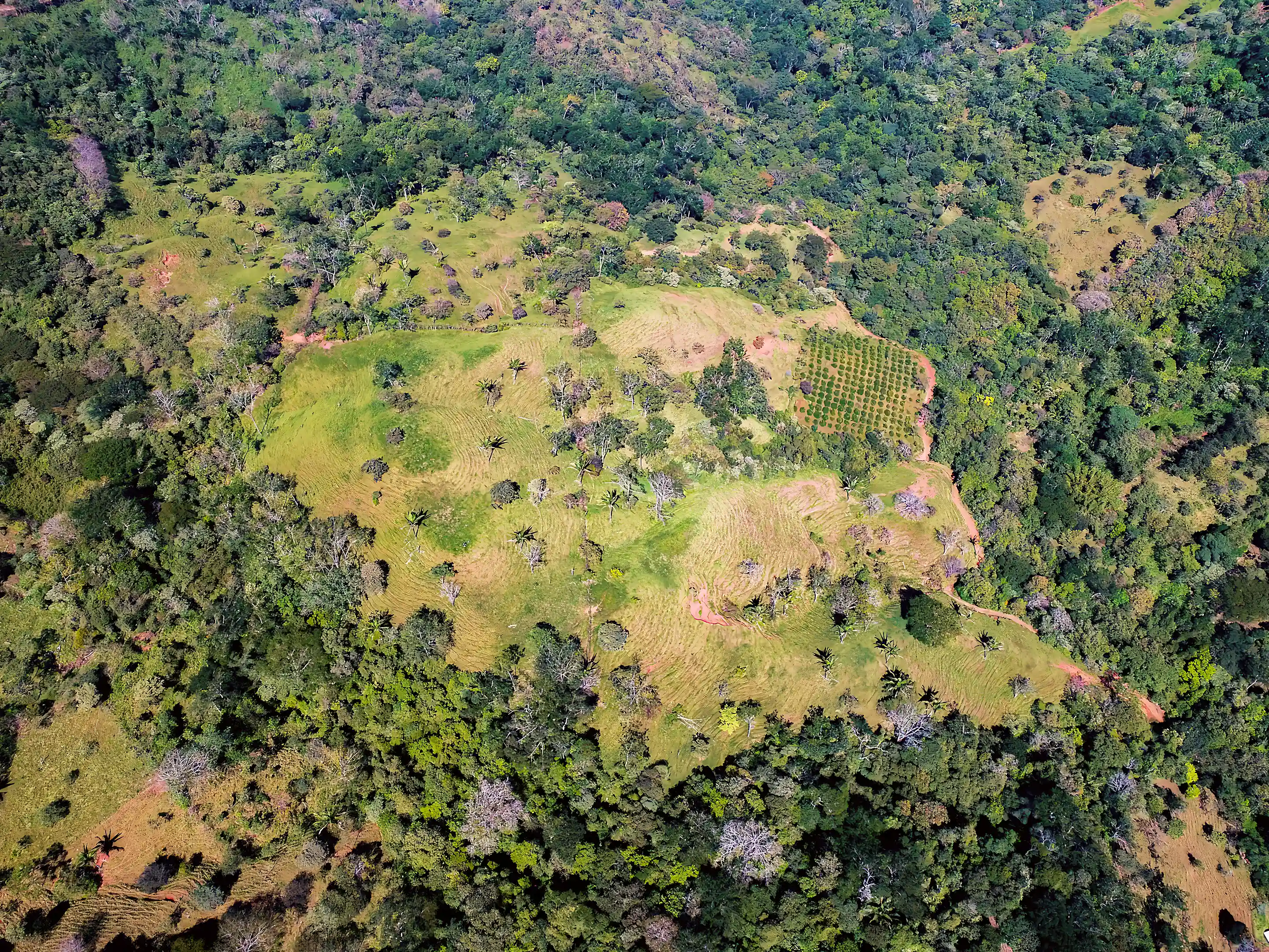 Farmland for Sale in Zaragoza, Guanacaste, Costa Rica