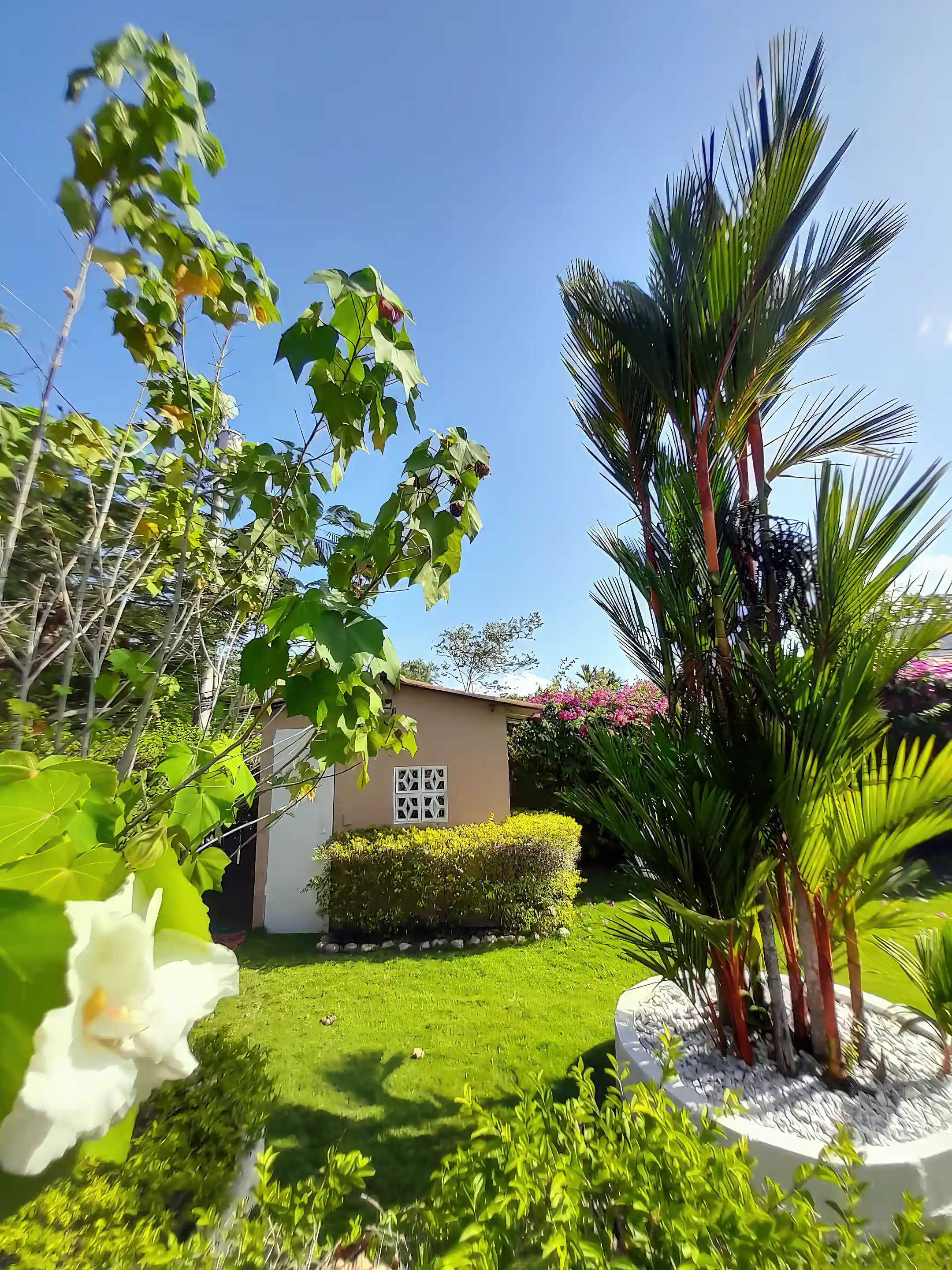 Beach Bed & Breakfast for Sale in Coronado, Panama Oeste, Panama