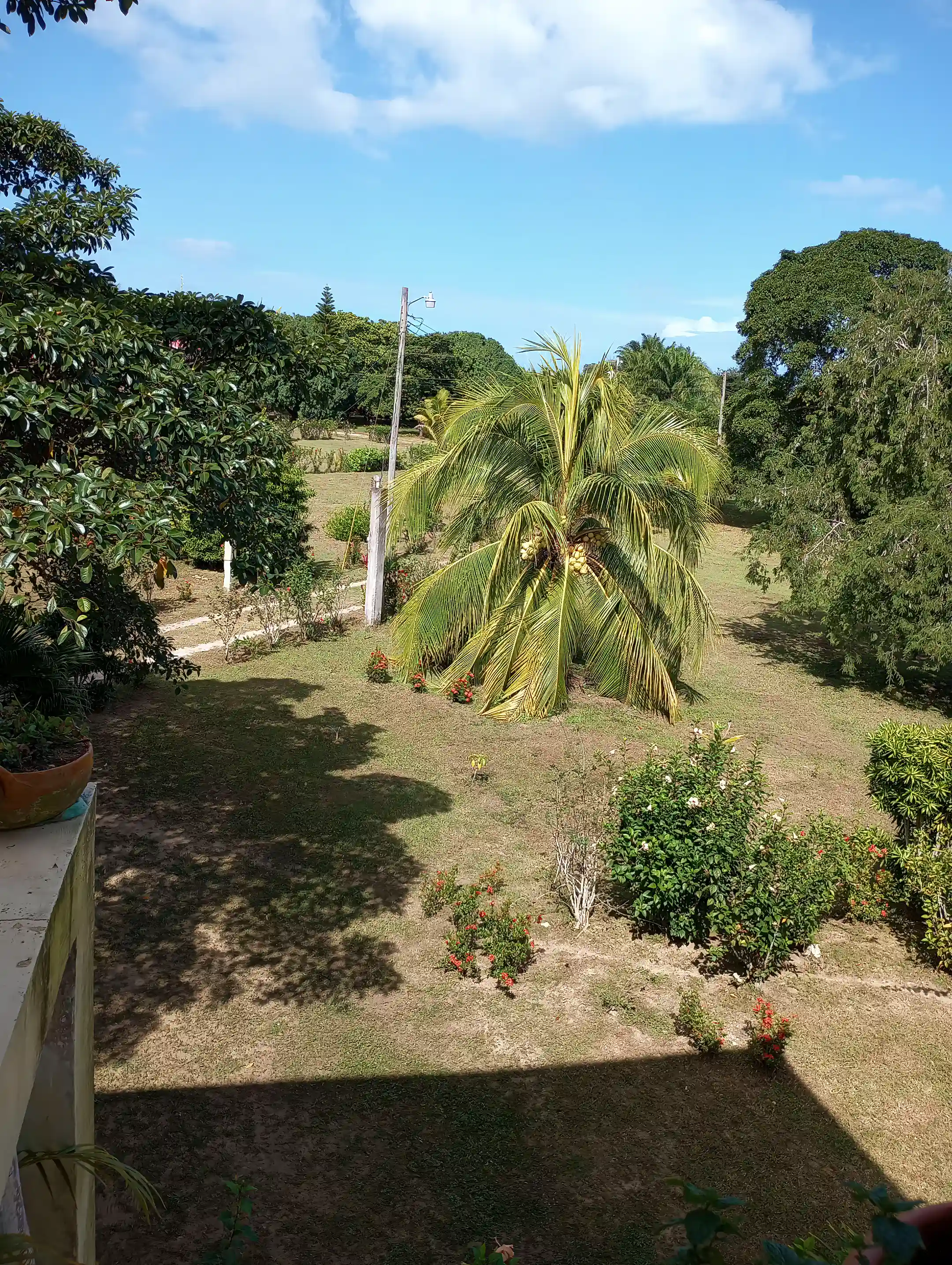 west view from porch