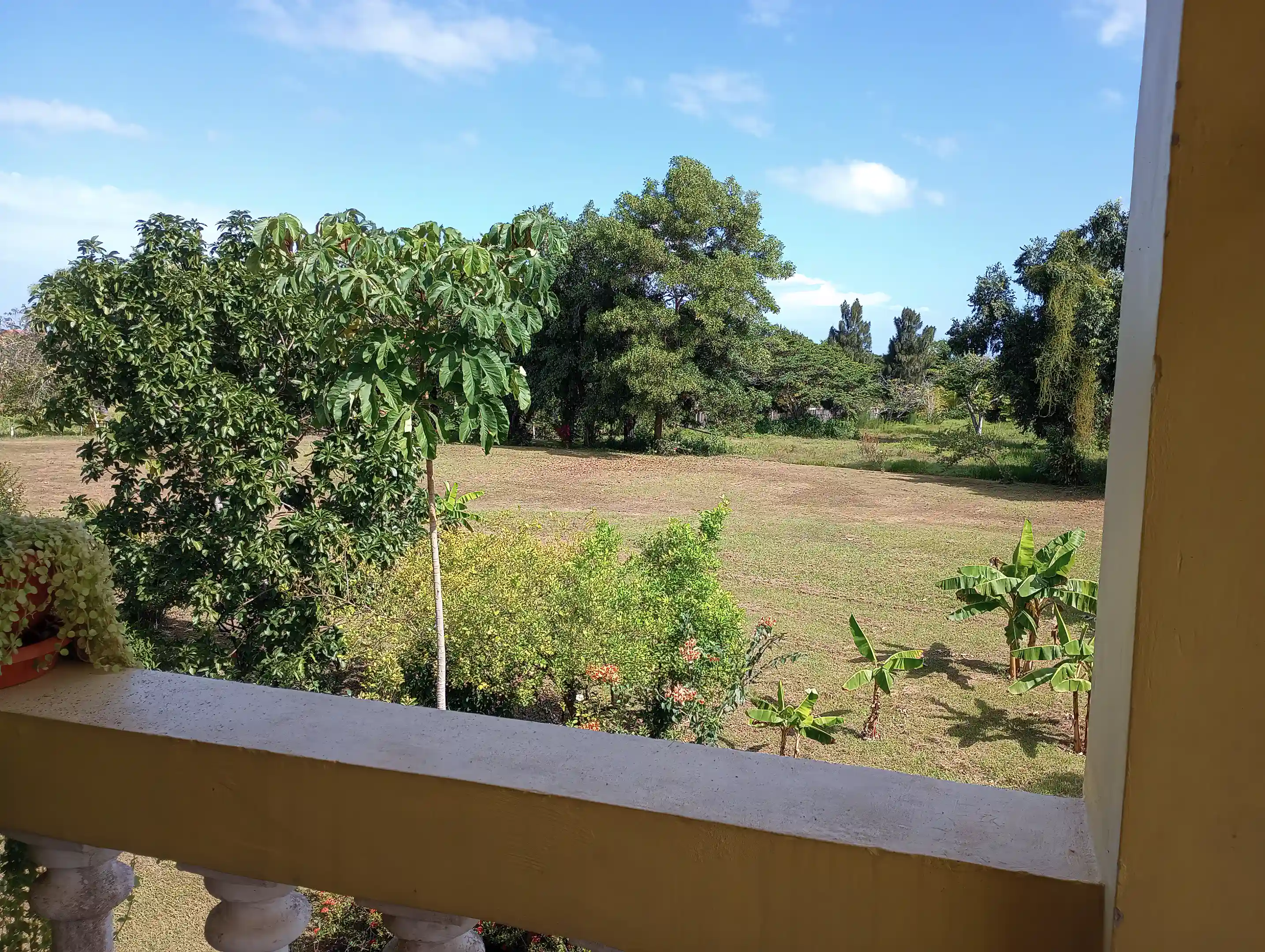 View toward beach