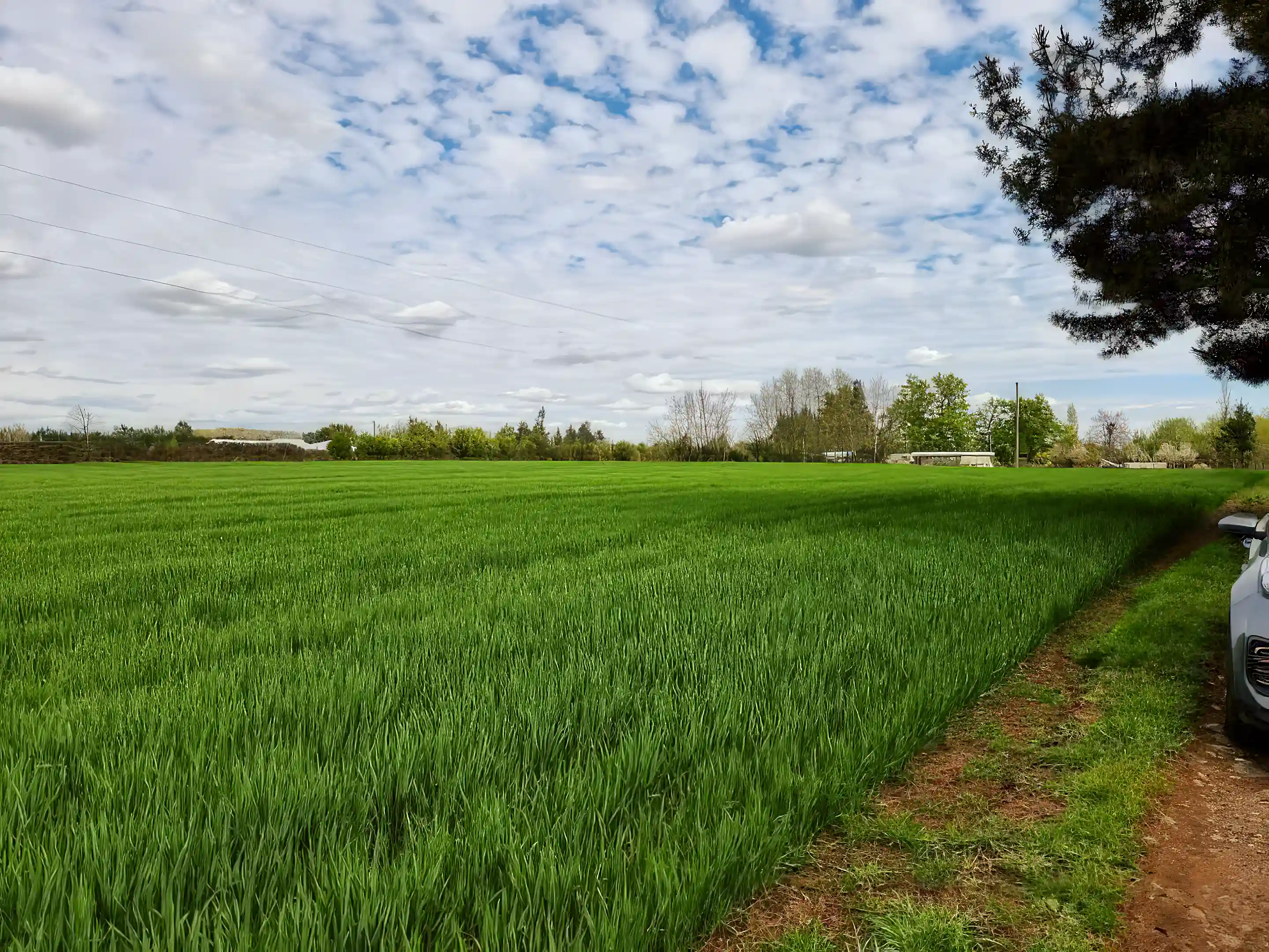 Small Farm for Sale in Chillan, Nuble, Chile