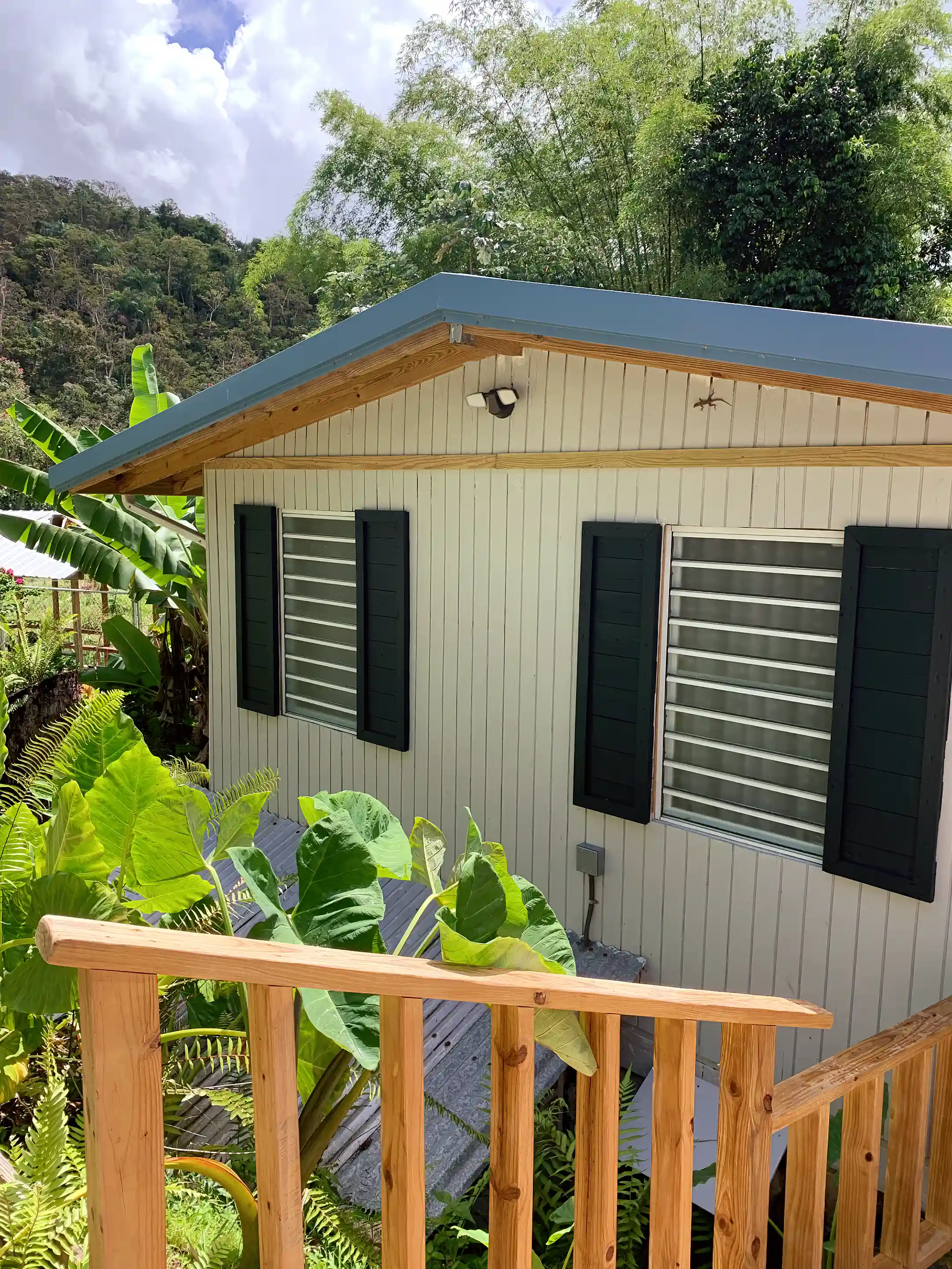 Riverfront Home for Sale in Km. 6.8, Patillas, Puerto Rico Viviun