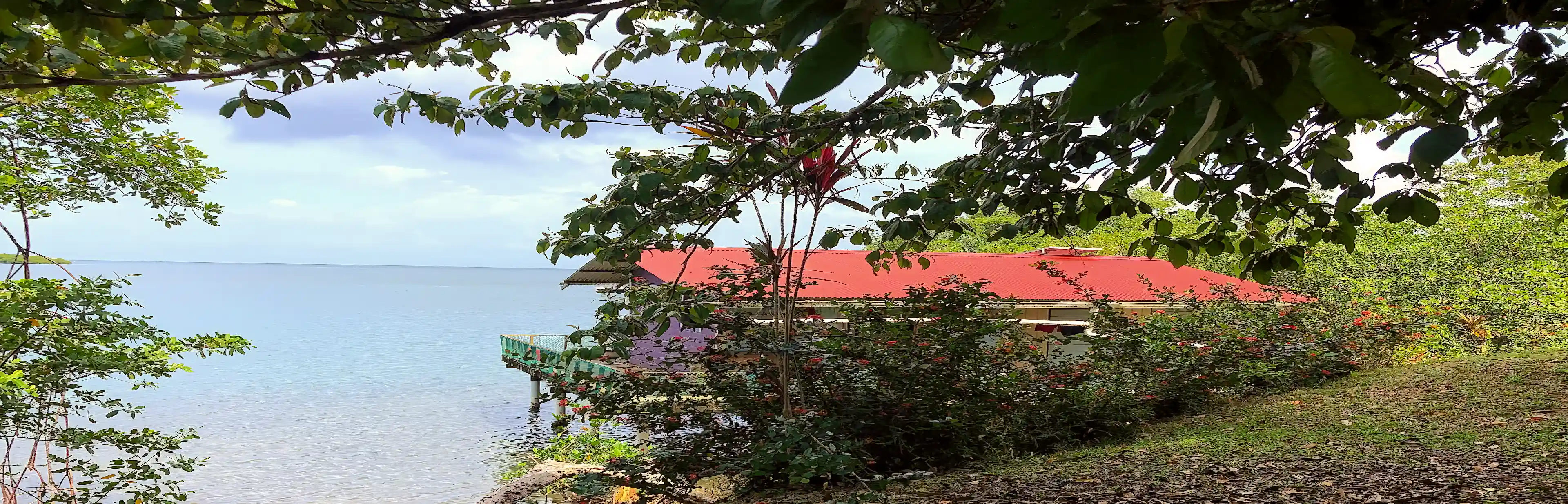 Huge Oceanfront Land for Sale in Loma Partida Main Land, Bocas Del Toro