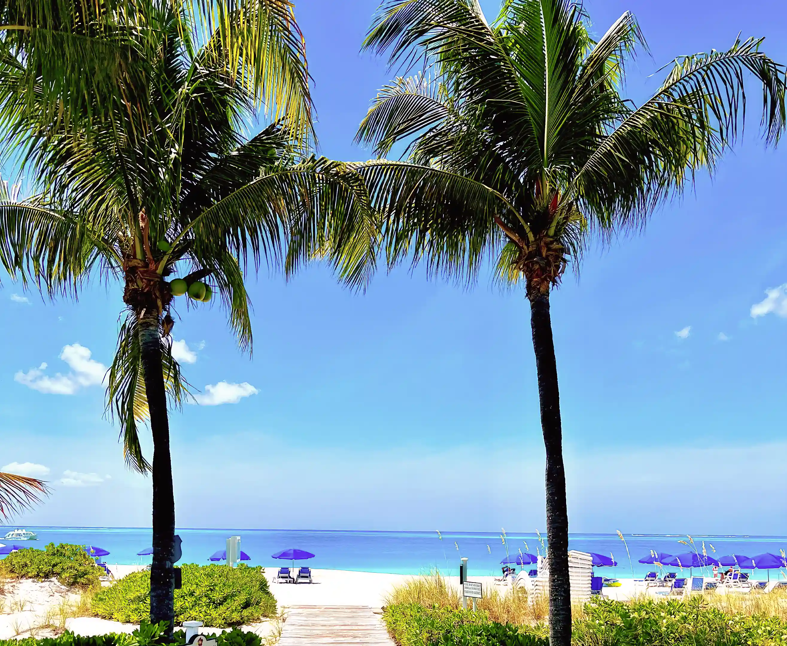 Beach Condo for Sale and Rent in Providenciales, Turks and Caicos