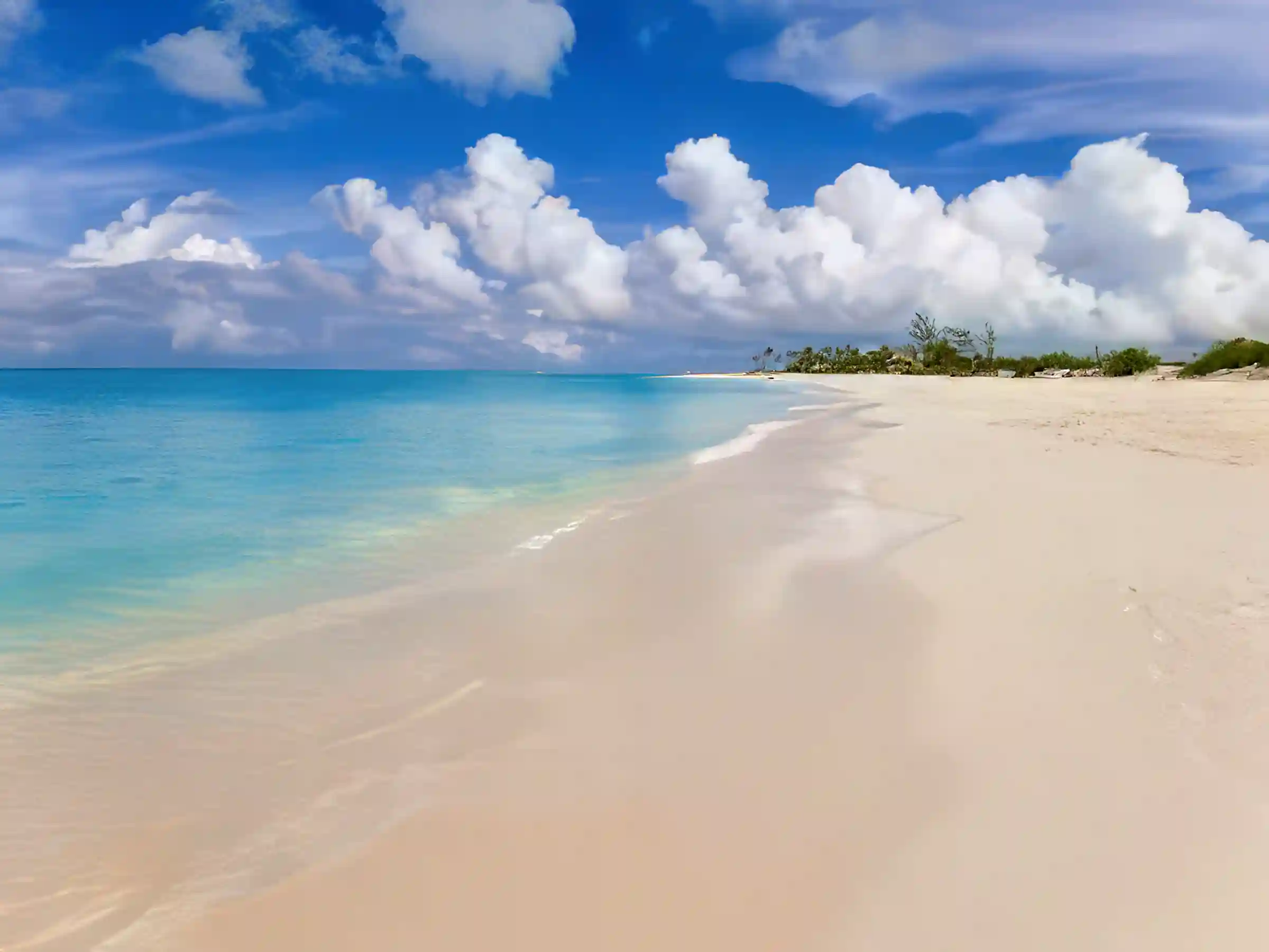 Beach Condo for Sale and Rent in Providenciales, Turks and Caicos