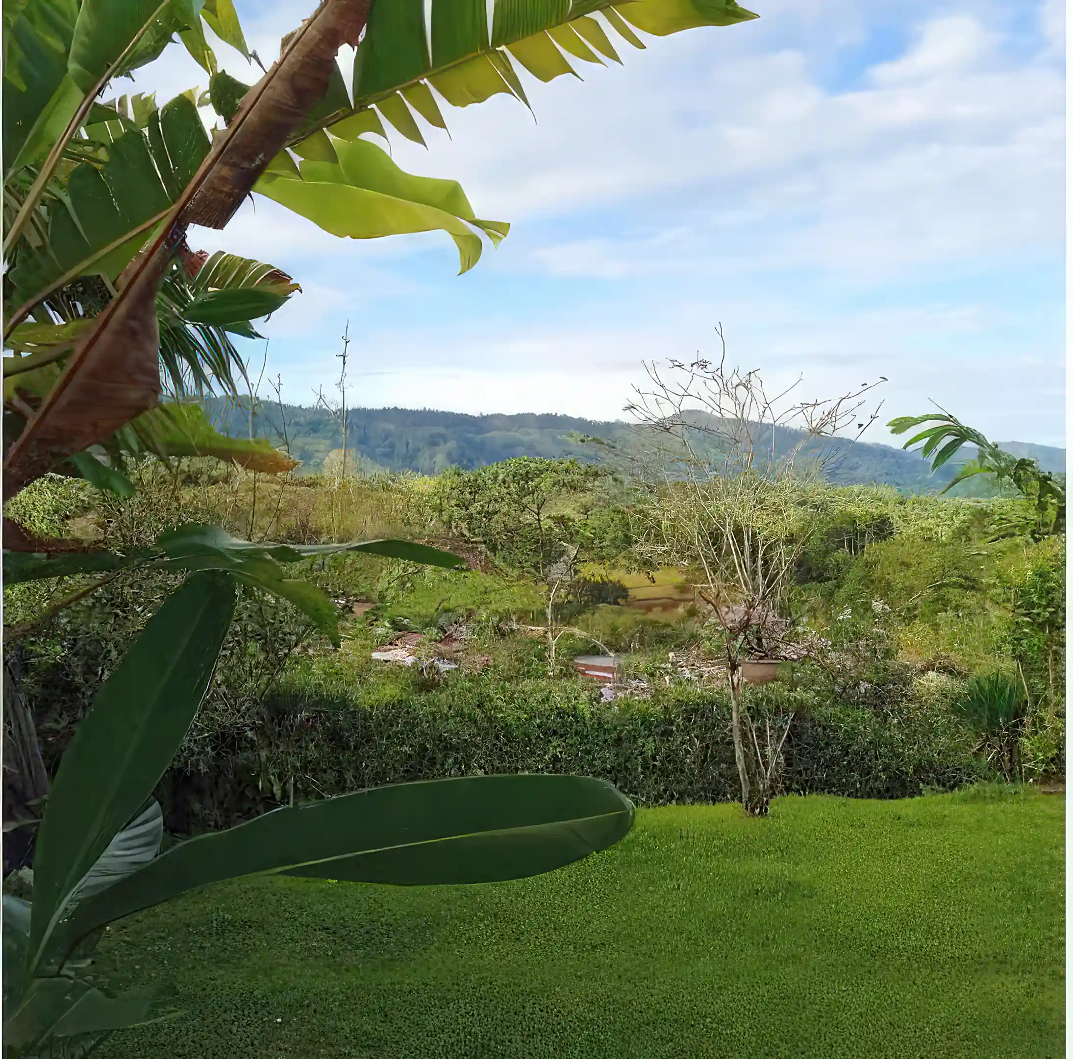 1 Floor Rancho for Sale in San Vito, Puntarenas, Costa Rica