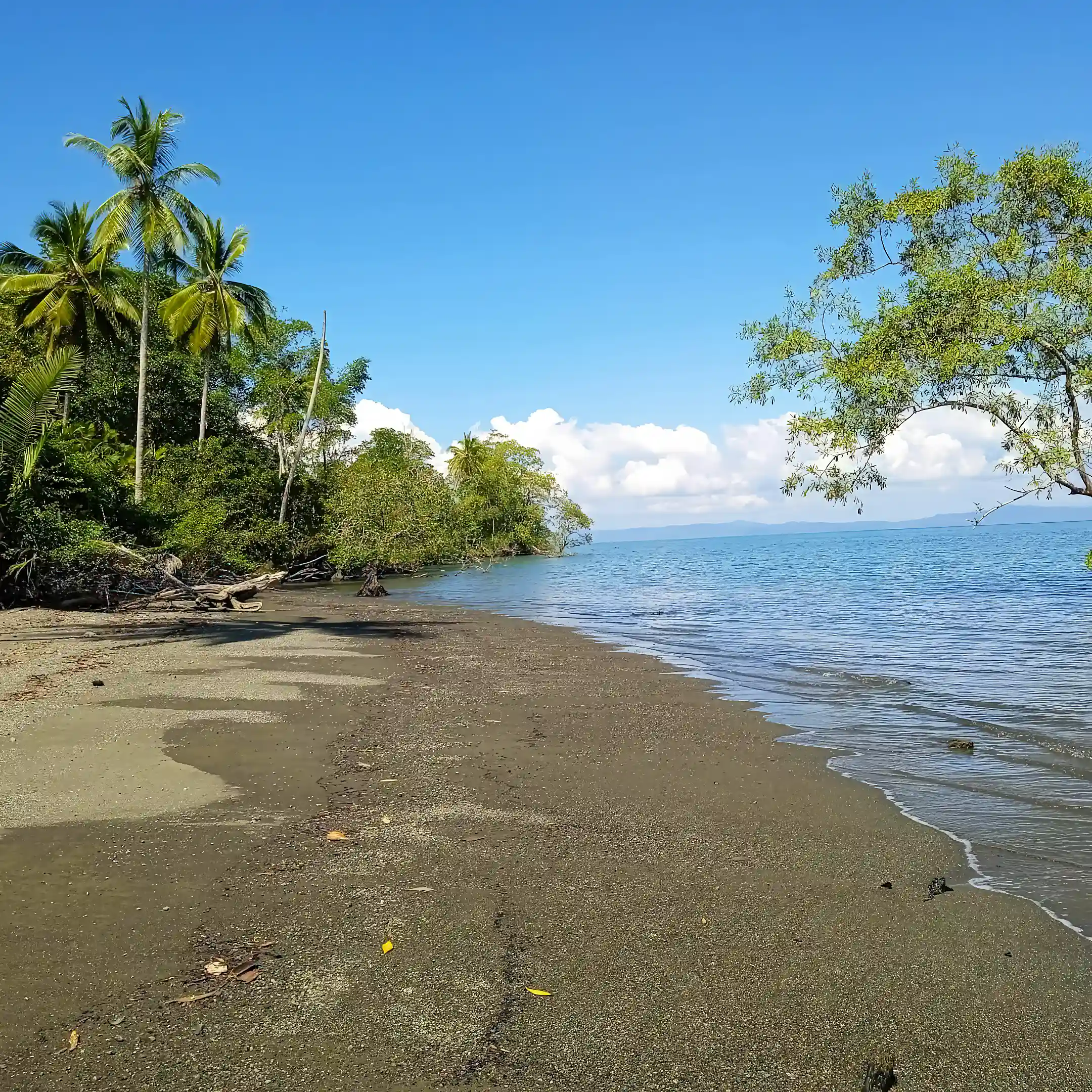 Beachfront Cattle Ranch for Sale in Puerto Jimenez, Puntarenas, Costa Rica