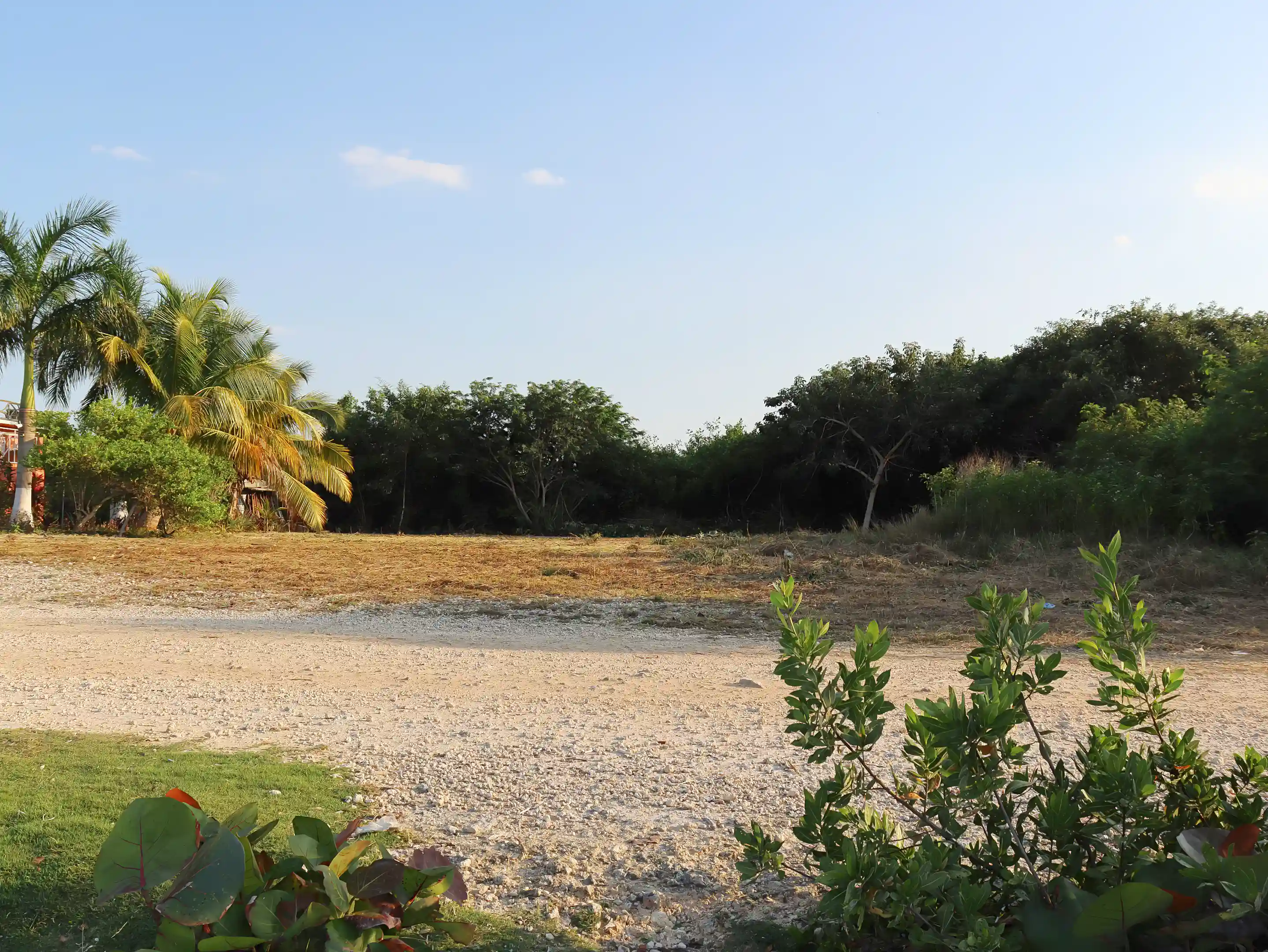 Oceanfront Lot for Sale in Sarteneja, Corozal, Belize