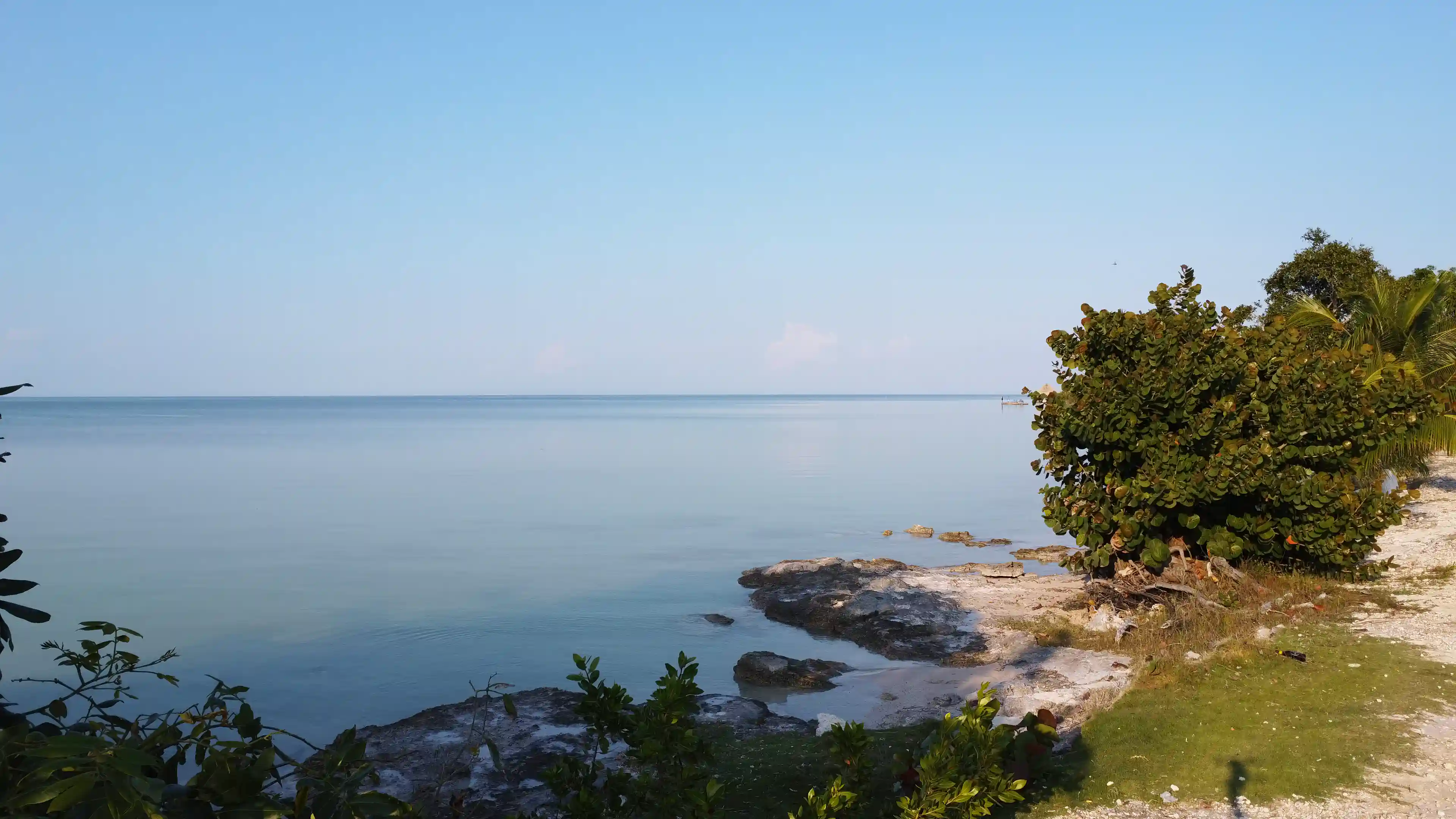 Oceanfront Lot for Sale in Sarteneja, Corozal, Belize