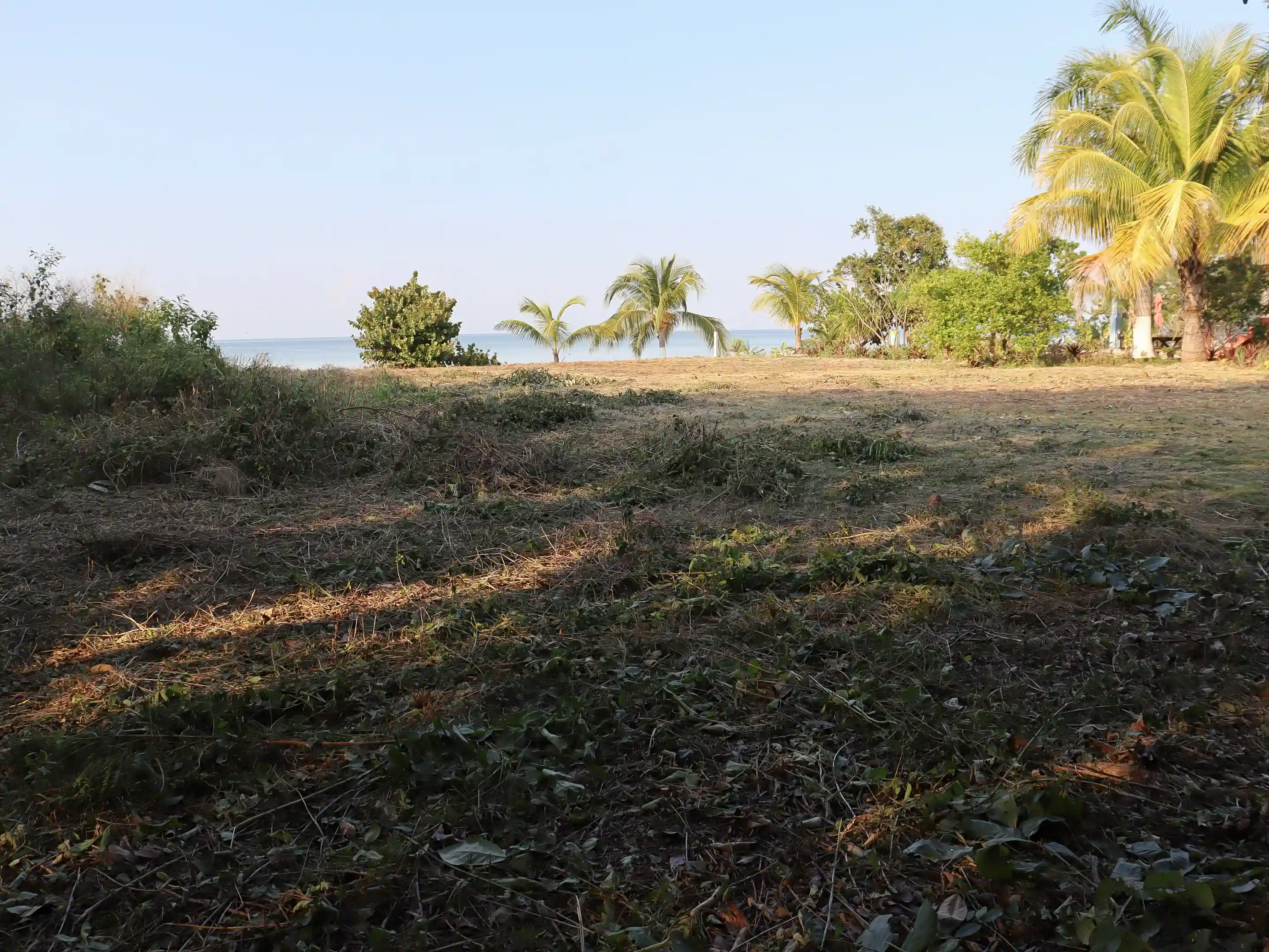 Oceanfront Lot for Sale in Sarteneja, Corozal, Belize