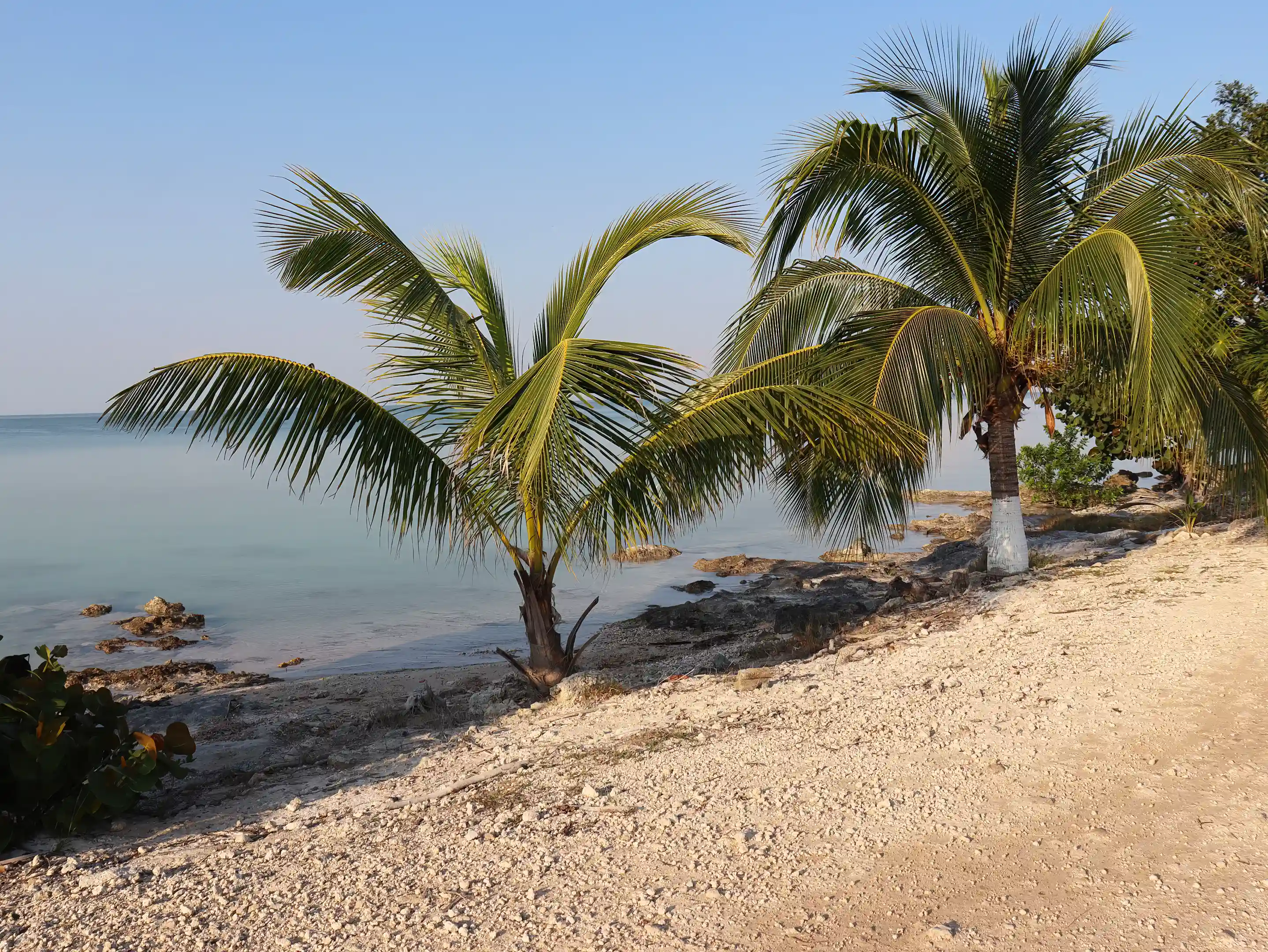 Oceanfront Lot for Sale in Sarteneja, Corozal, Belize