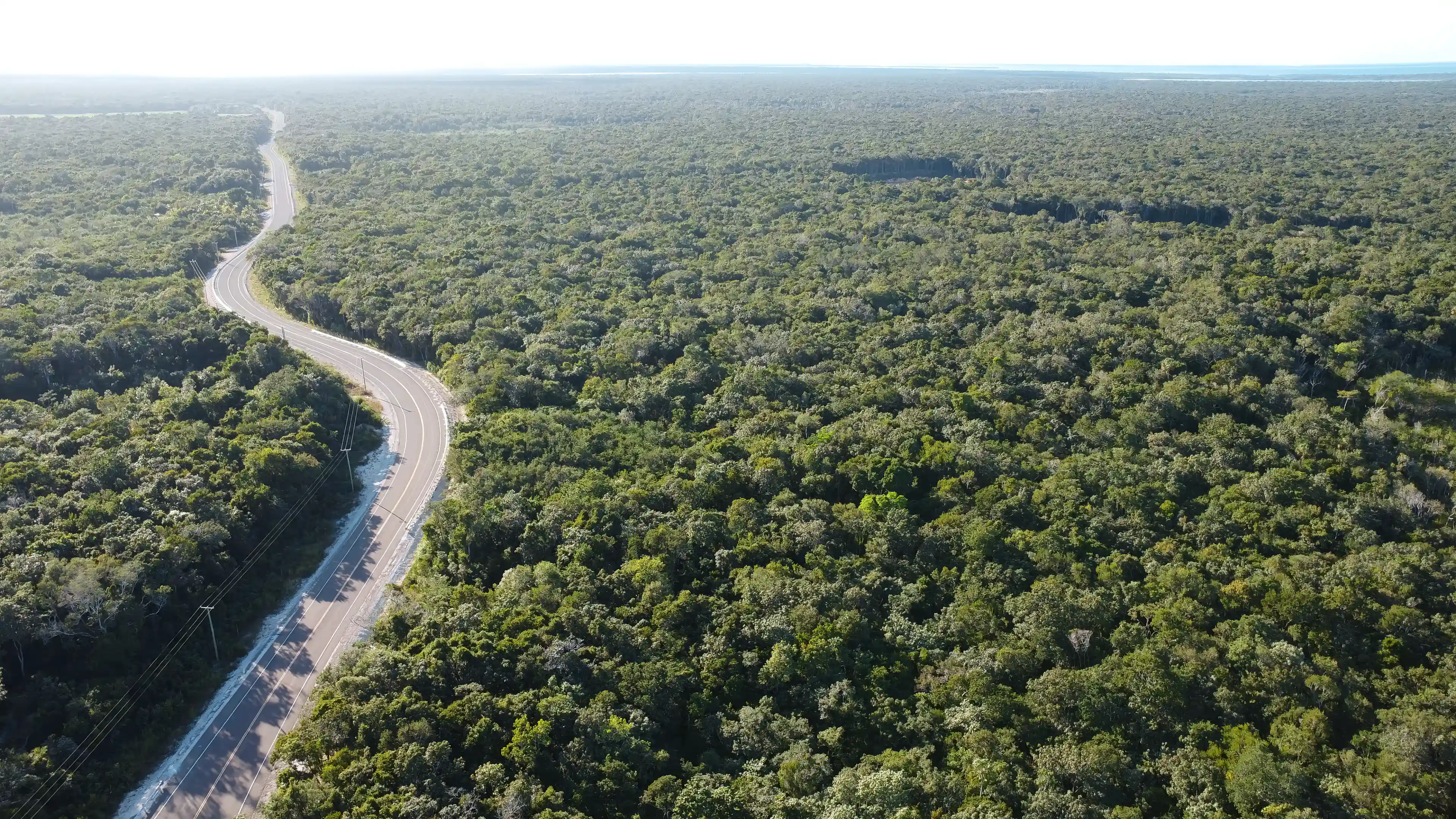 Pristine forest in Northern Belize just 4.5 miles to the...