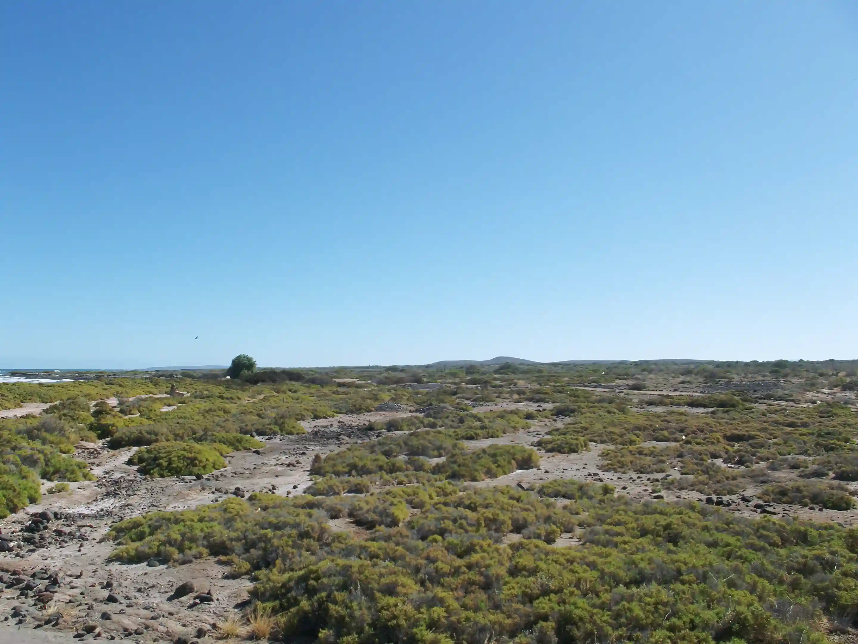 Flat Beachfront Land for Sale in San Bruno, Baja California Sur, Mexico