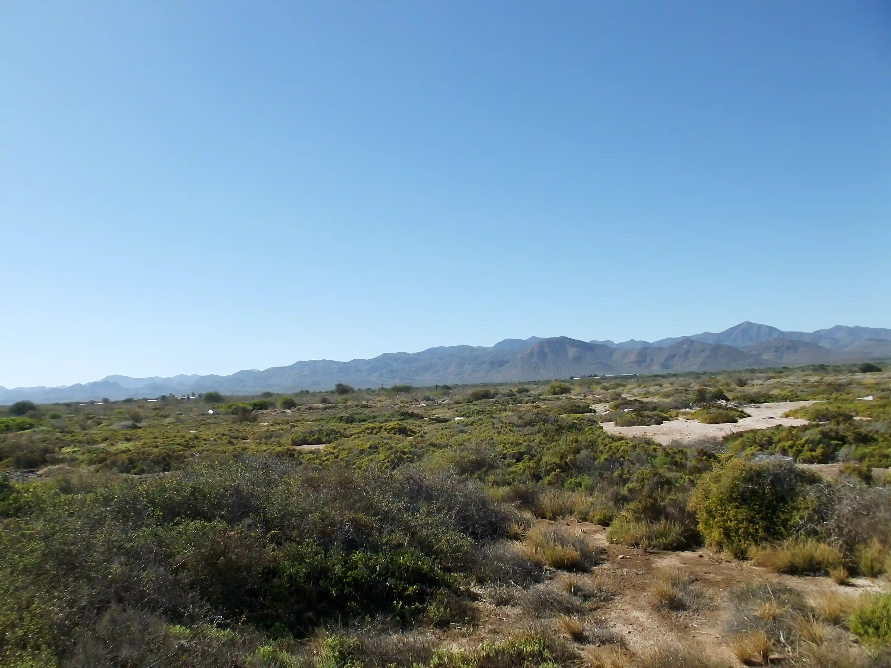 Flat Beachfront Land for Sale in San Bruno, Baja California Sur, Mexico