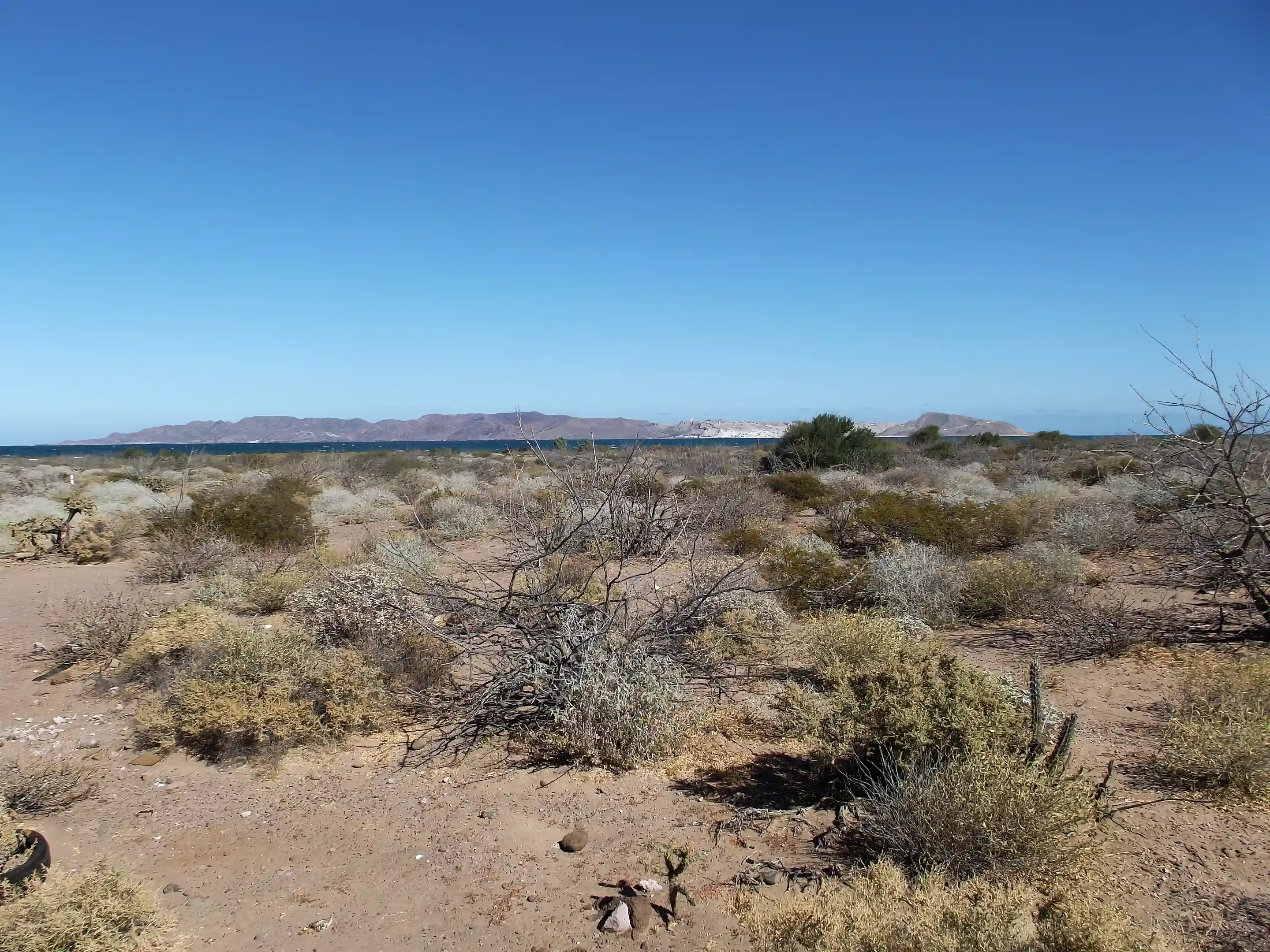 Flat Beachfront Land for Sale in San Bruno, Baja California Sur, Mexico