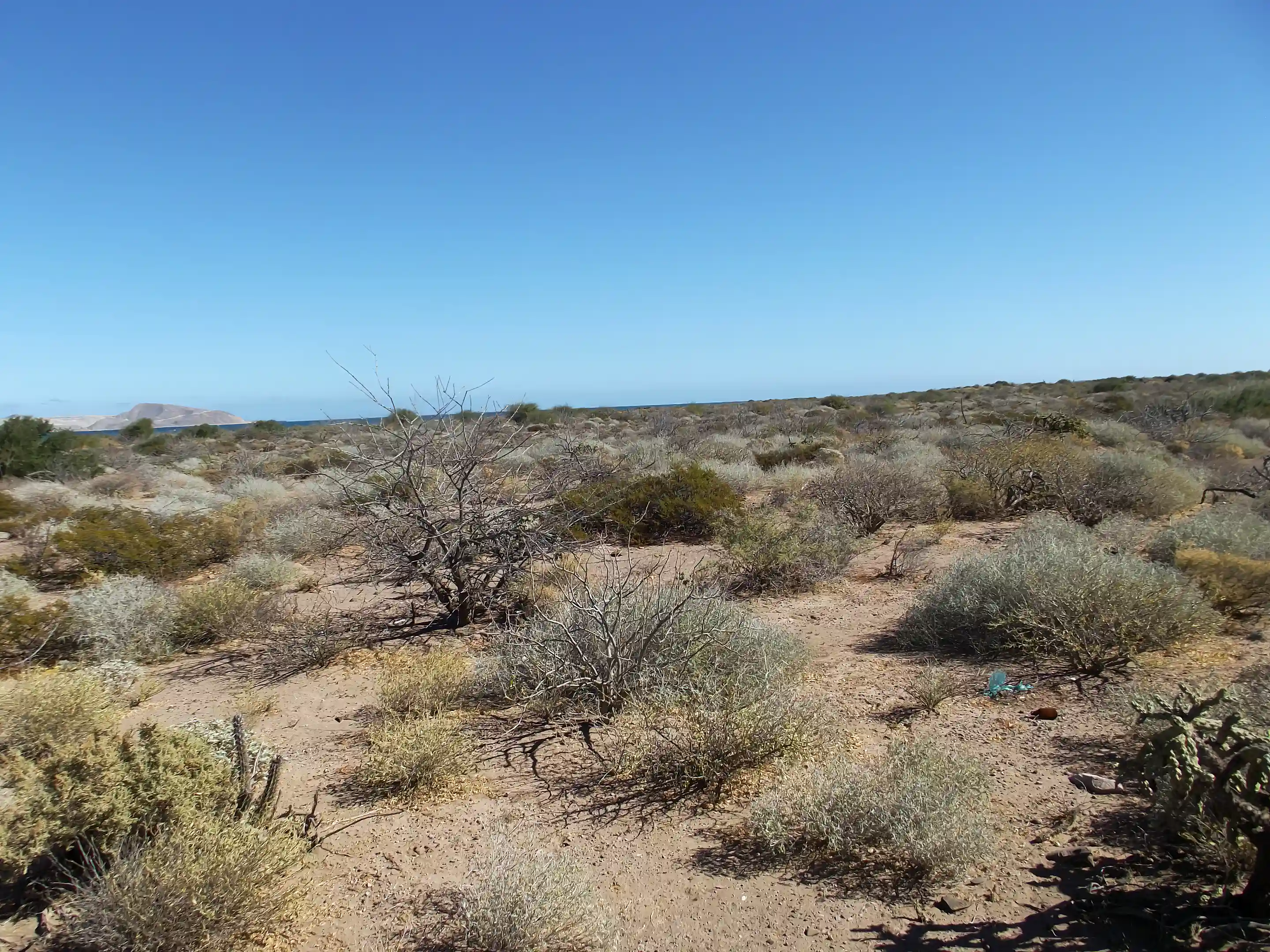 Flat Beachfront Land for Sale in San Bruno, Baja California Sur, Mexico