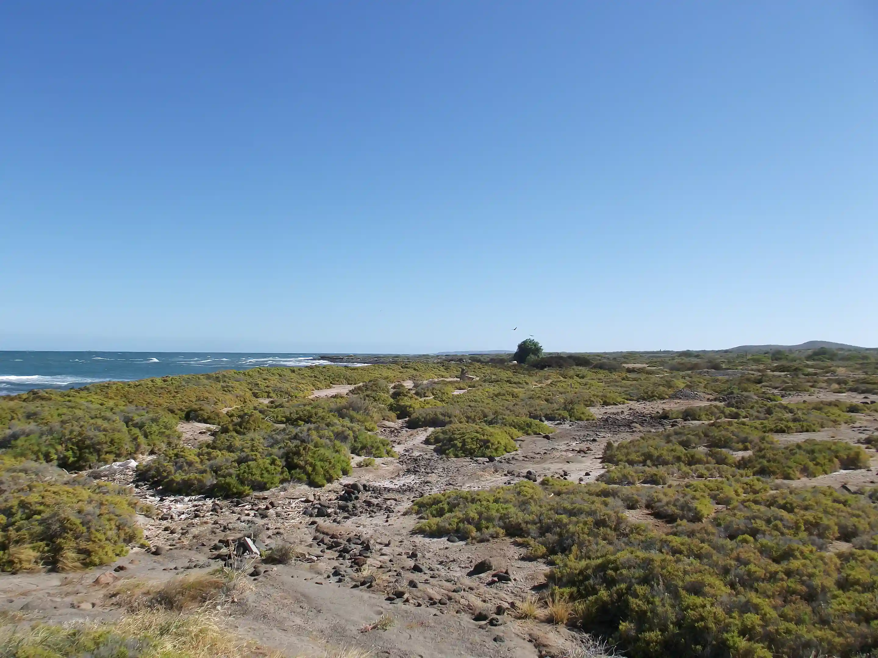 Flat Beachfront Land for Sale in San Bruno, Baja California Sur, Mexico