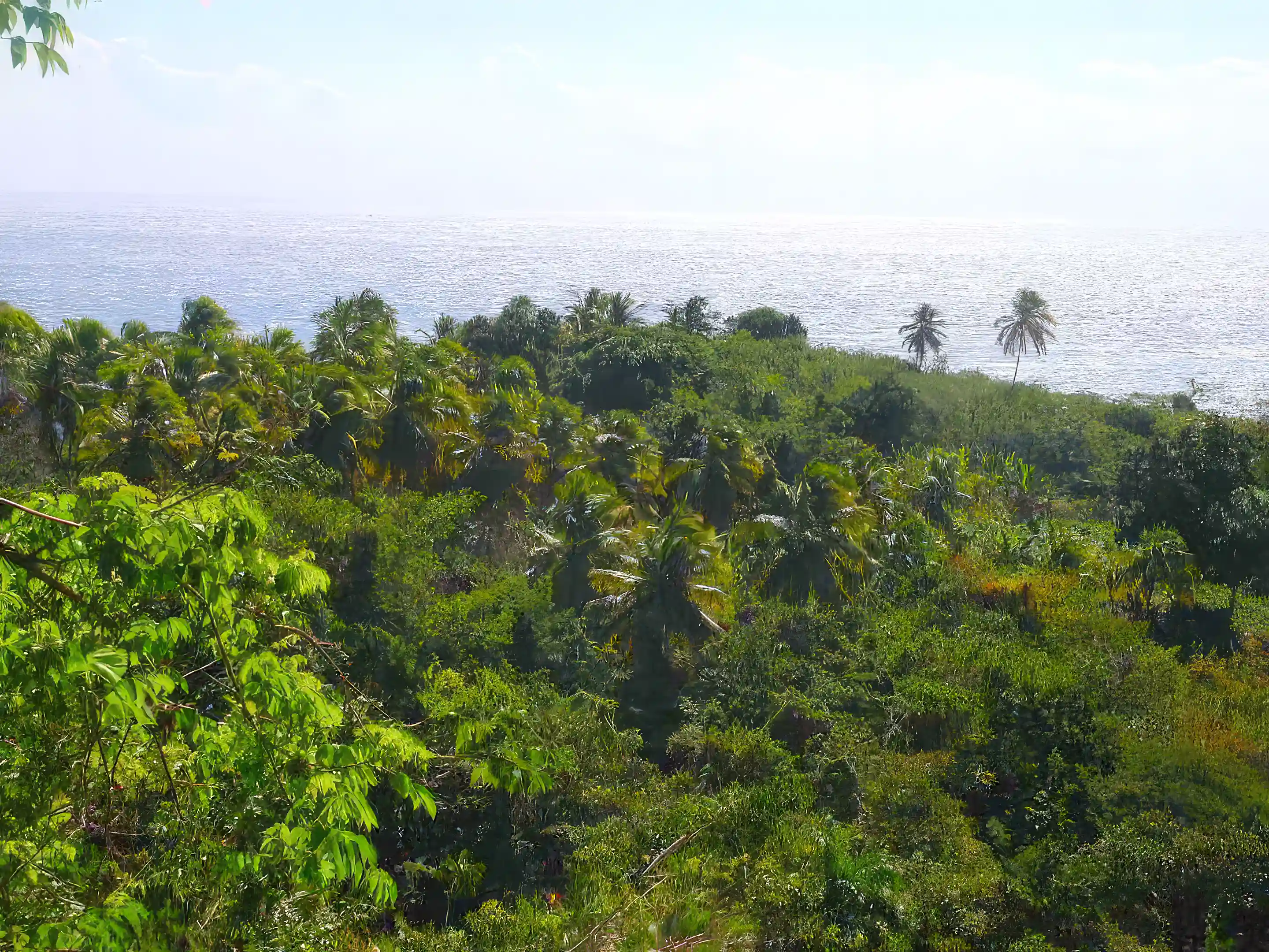 15,000 M2 Oceanfront for Sale in El Arroyo, Barahona, Dominican Republic