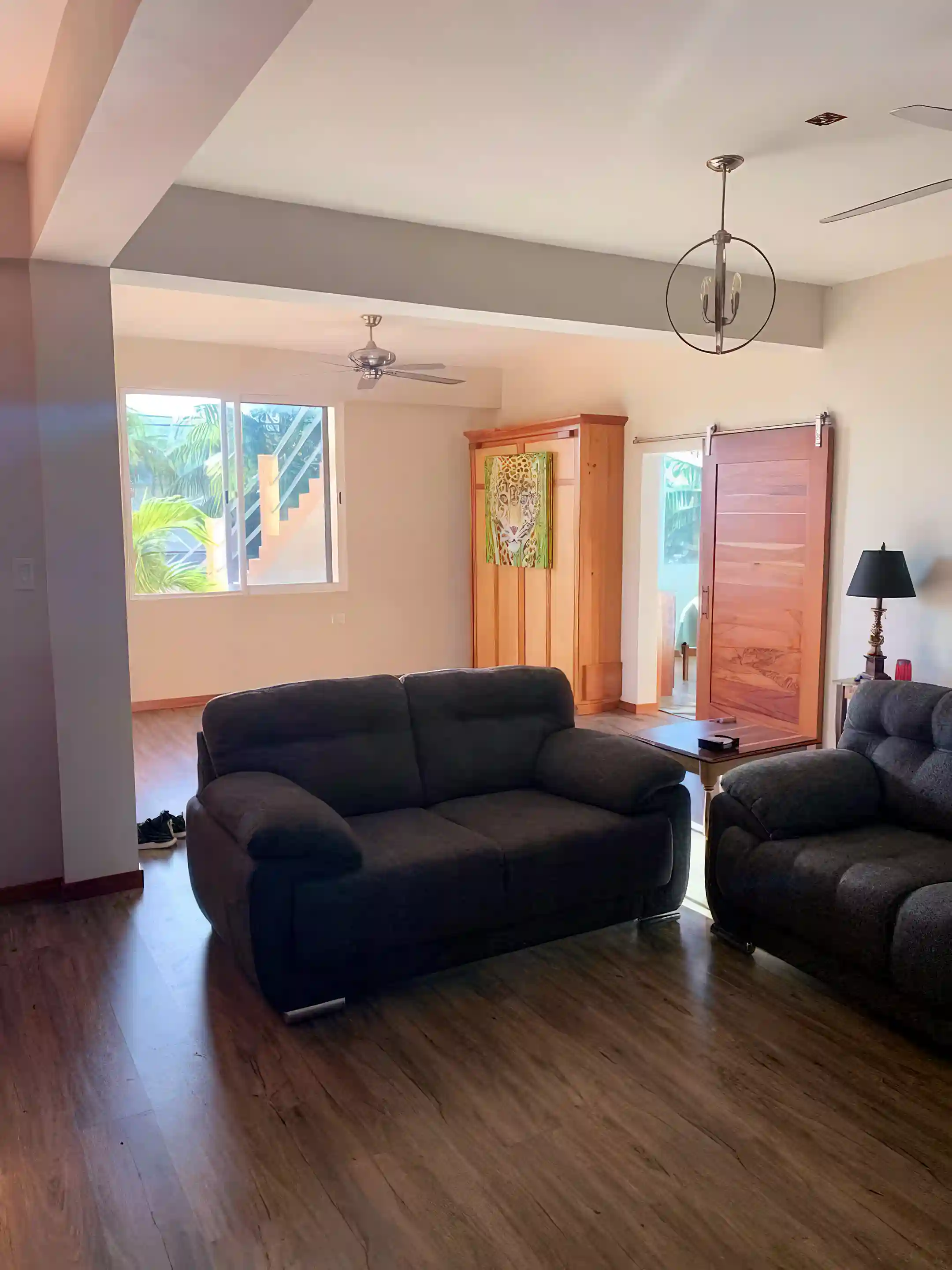 Apartment living area with Murphy bed