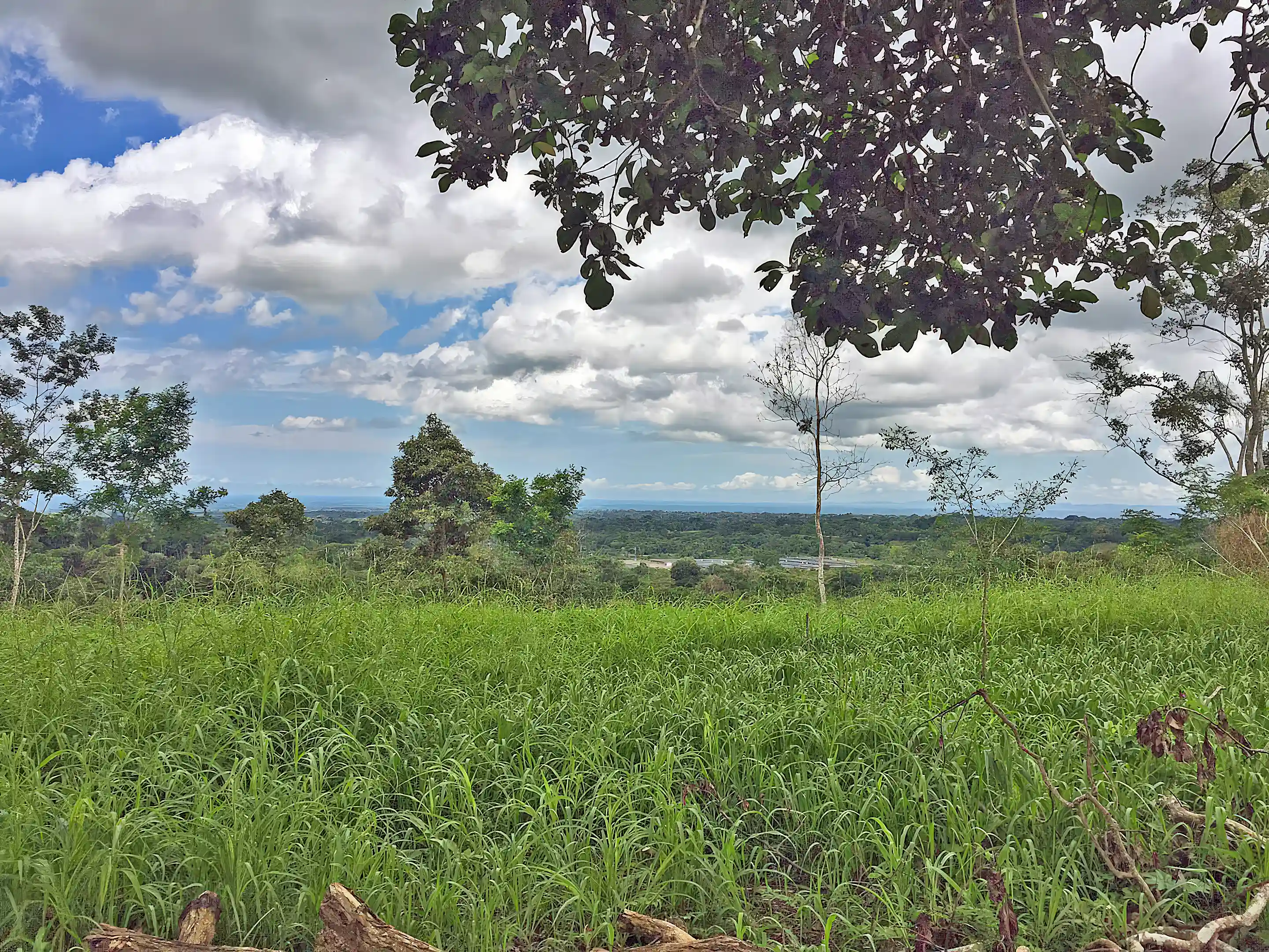 Land for Sale in Concepcion, Chiriqui, Panama