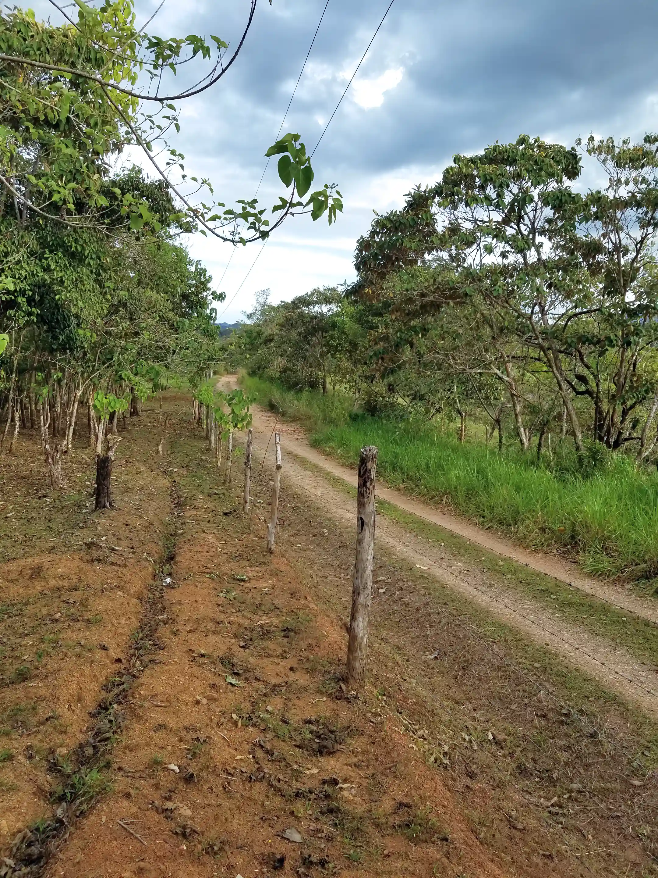 Lot/Land for Sale in Ocean Ridge Estates, Mariatos, Veraguas, Panama