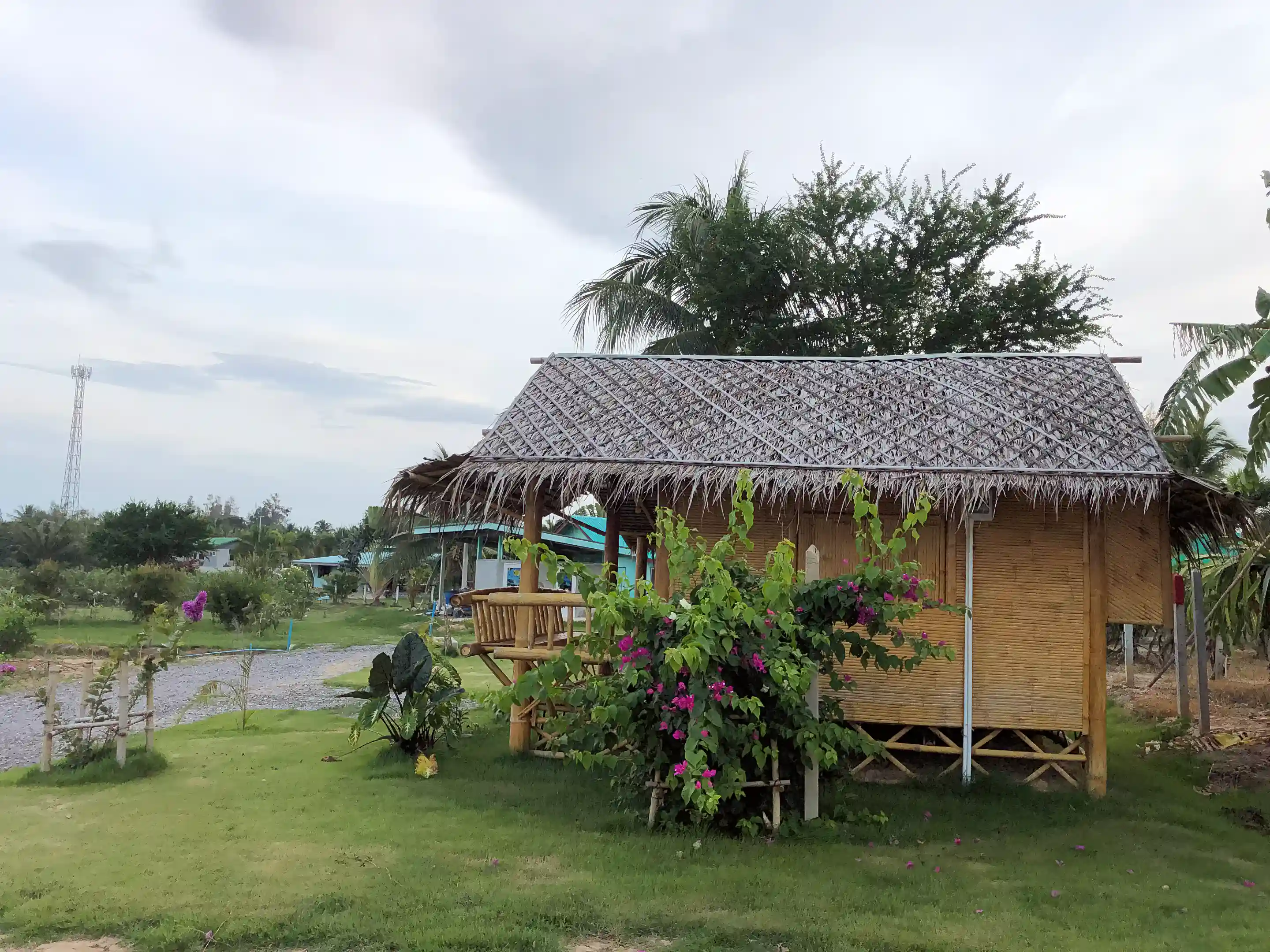 Bamboo House