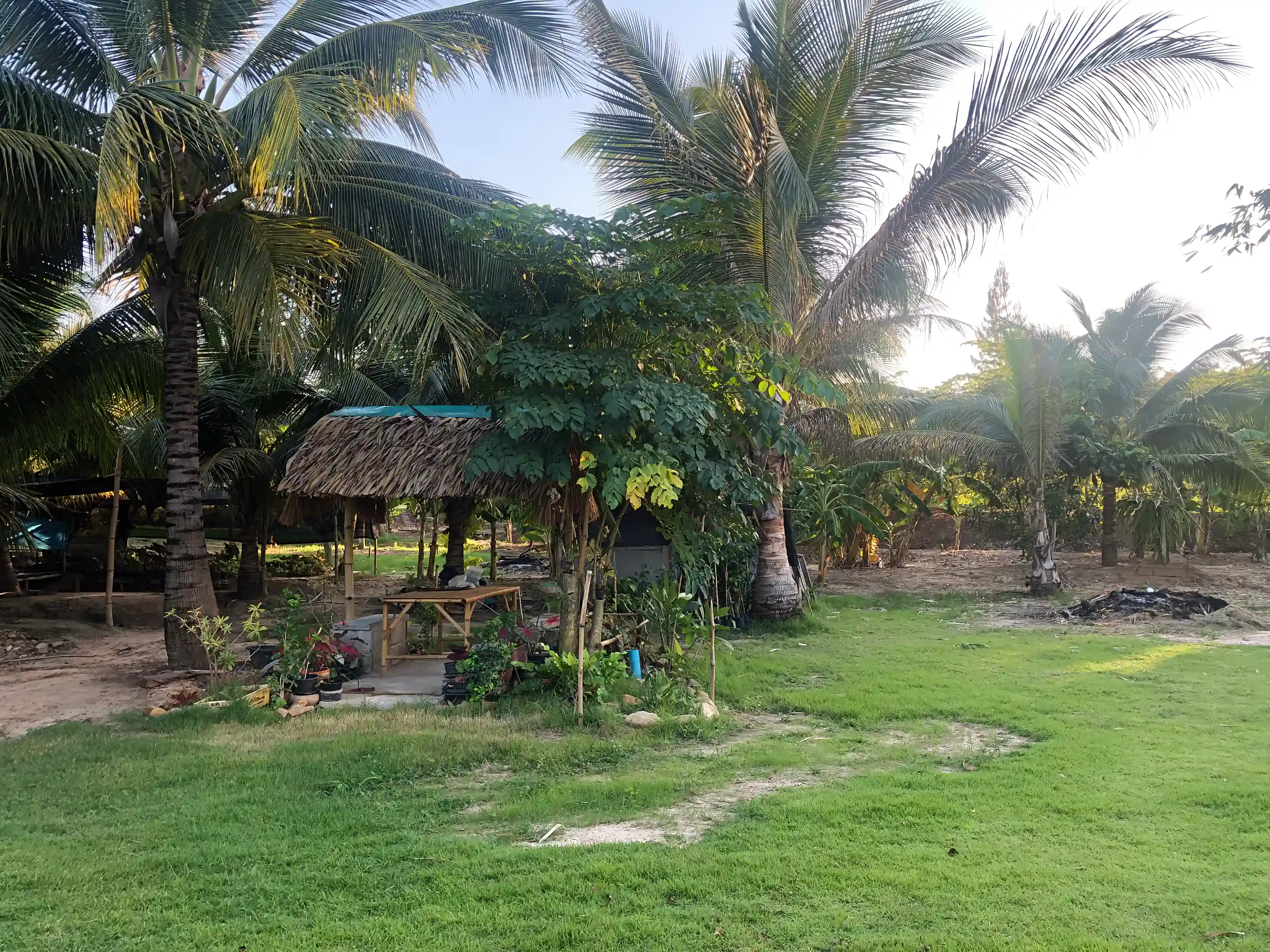 Picnic Area