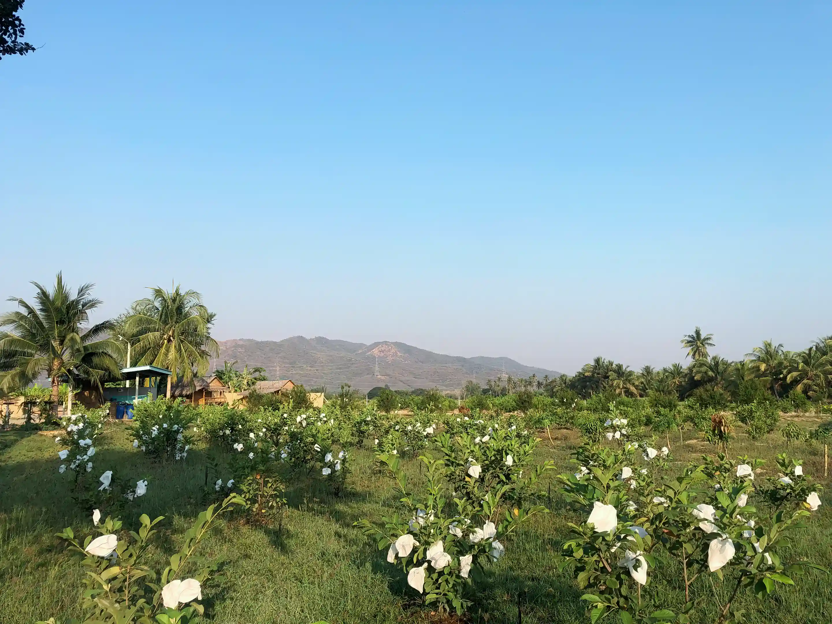Farm Resort for Sale in Kui Buri, Prachuap Khiri Khan, Thailand