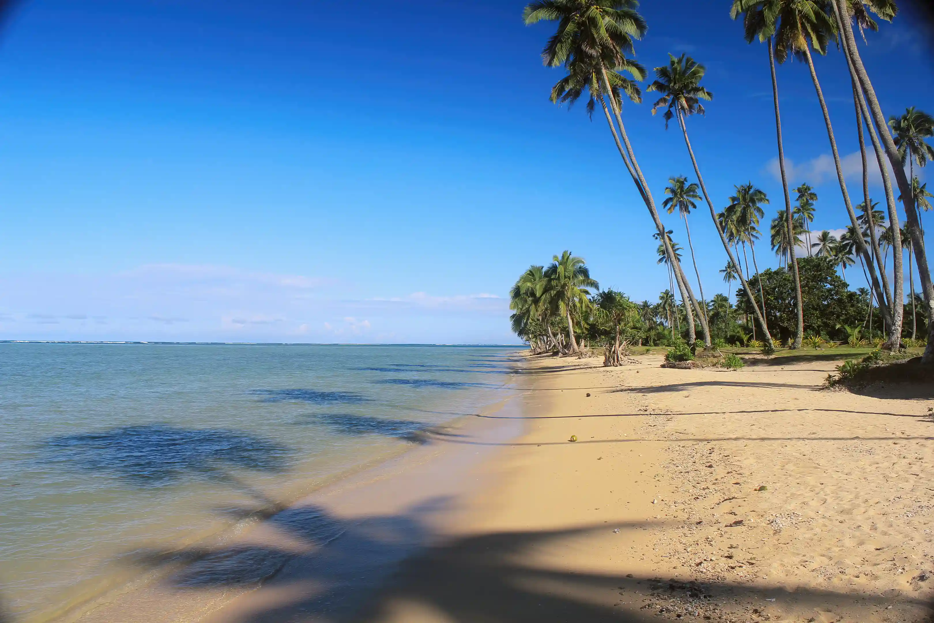 Beach Lots for Sale in Hibiscus Hwy, Savusavu, Cakaudrove, Fiji