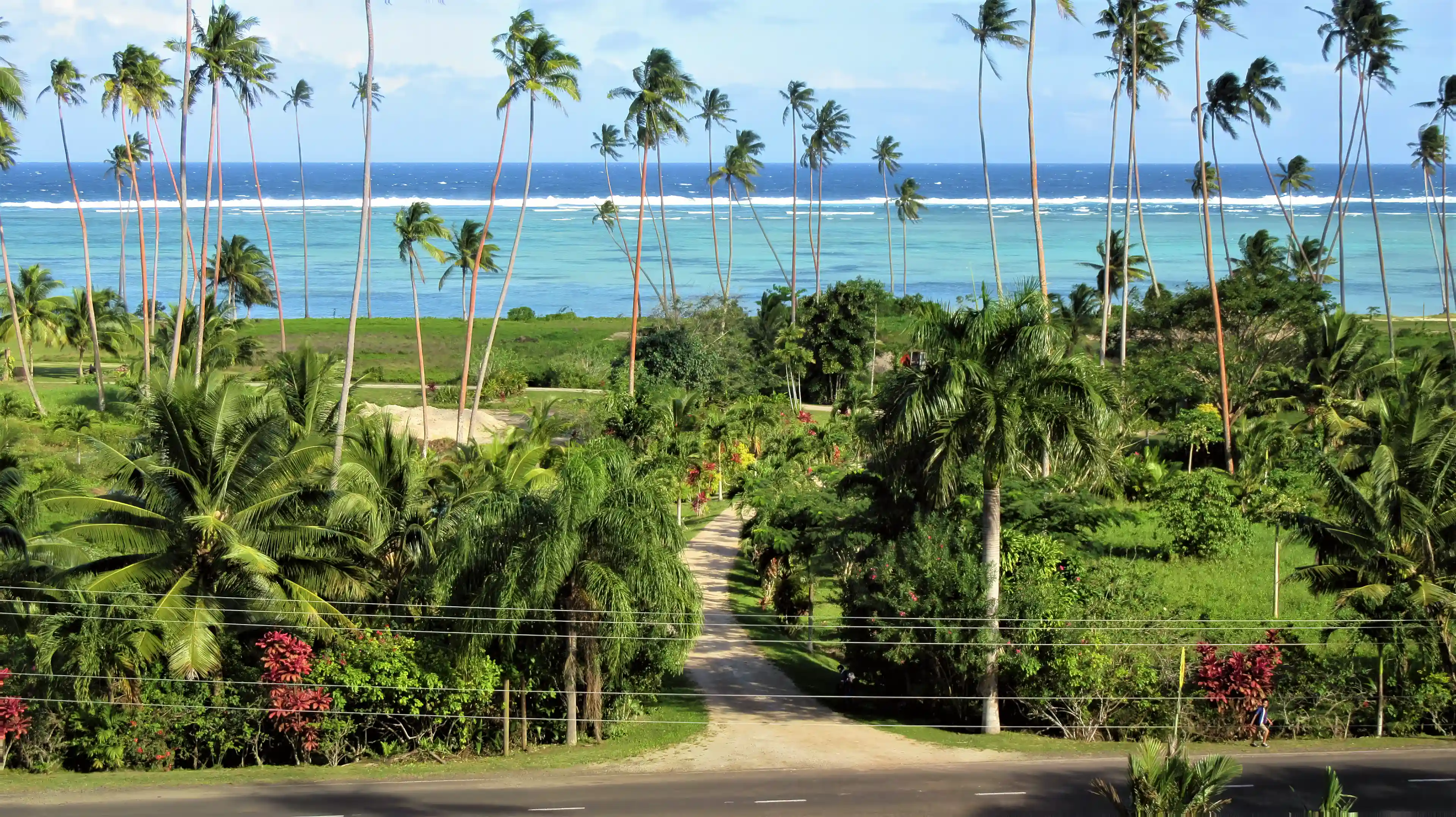 Native Forest Reserve with nature trails and this Scenic Point...