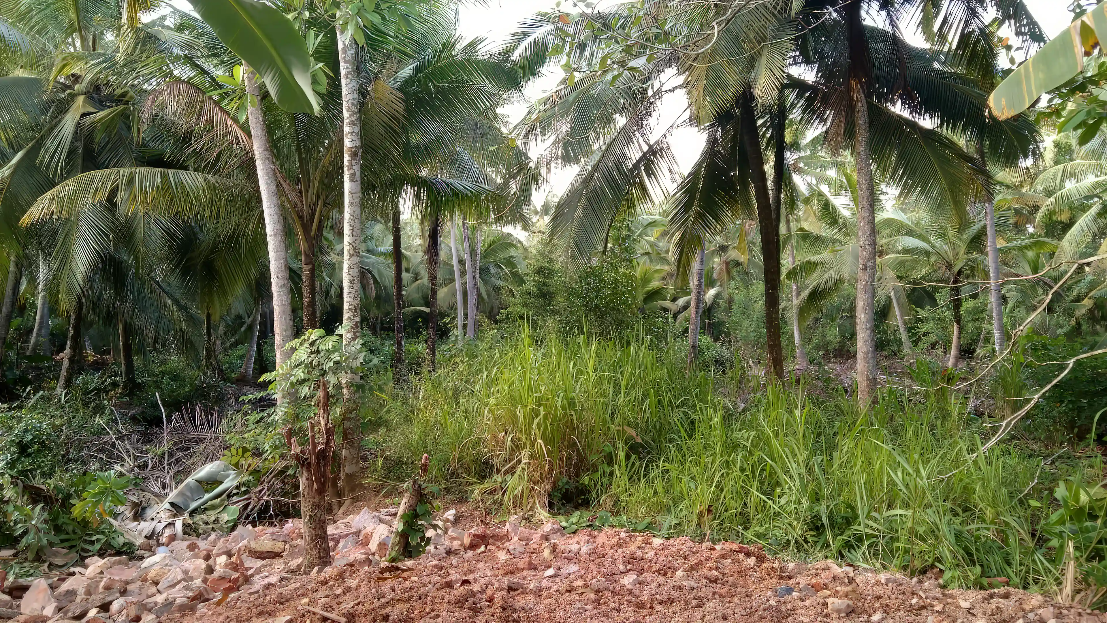 Land for Sale in Unawatuna, Galle, Sourthern Province, Sri Lanka